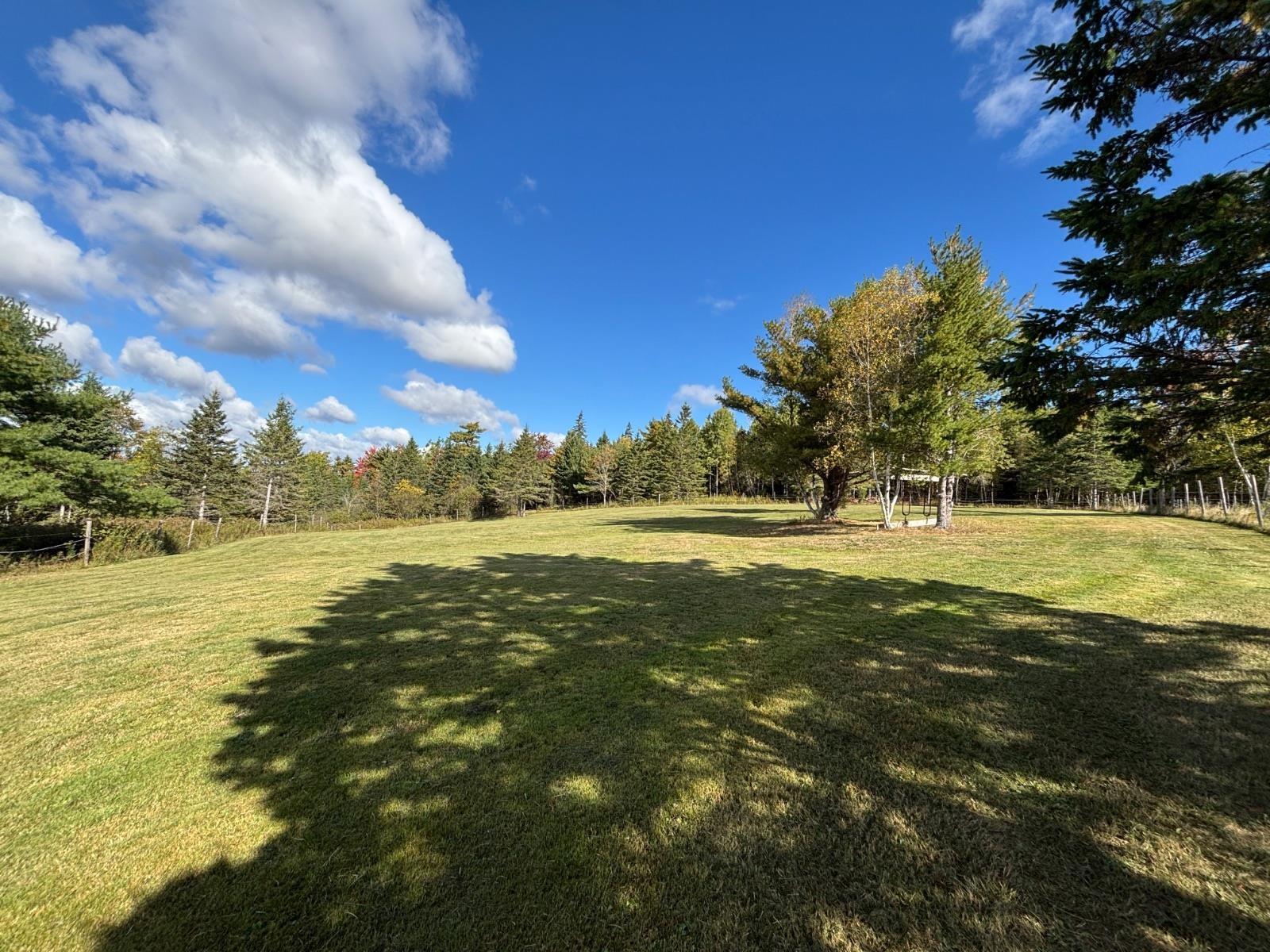 54 Craig Drive photo #31