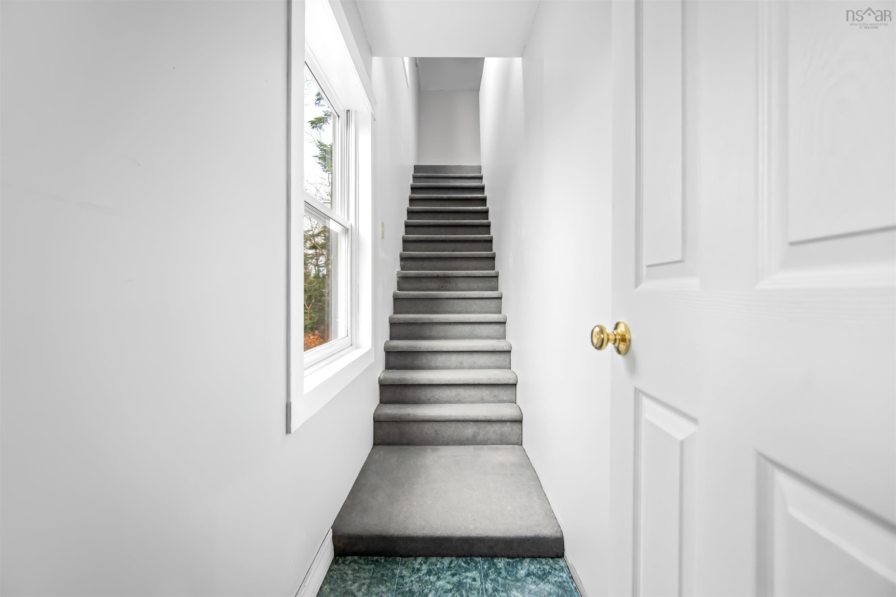 18 Mahar Drive photo #44