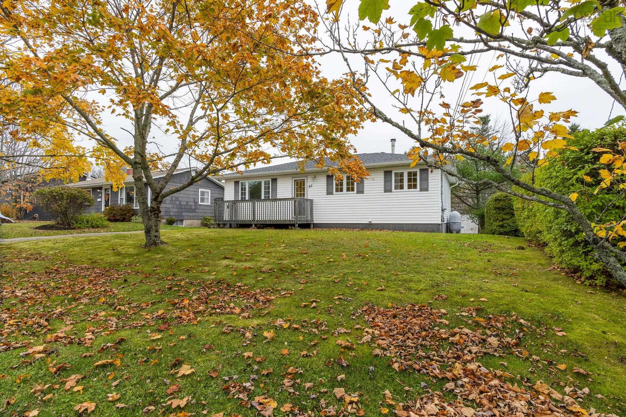 85 Poplar Drive photo #36