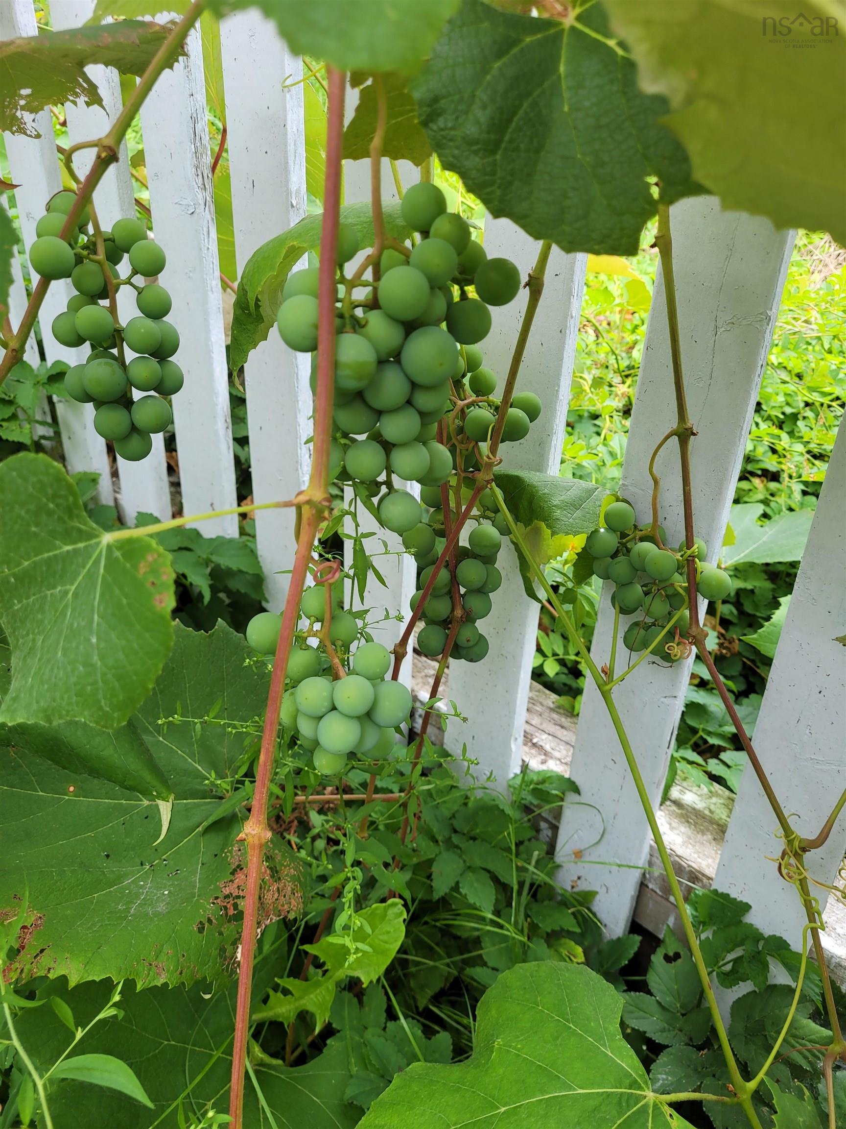 52 Regal Road photo #26