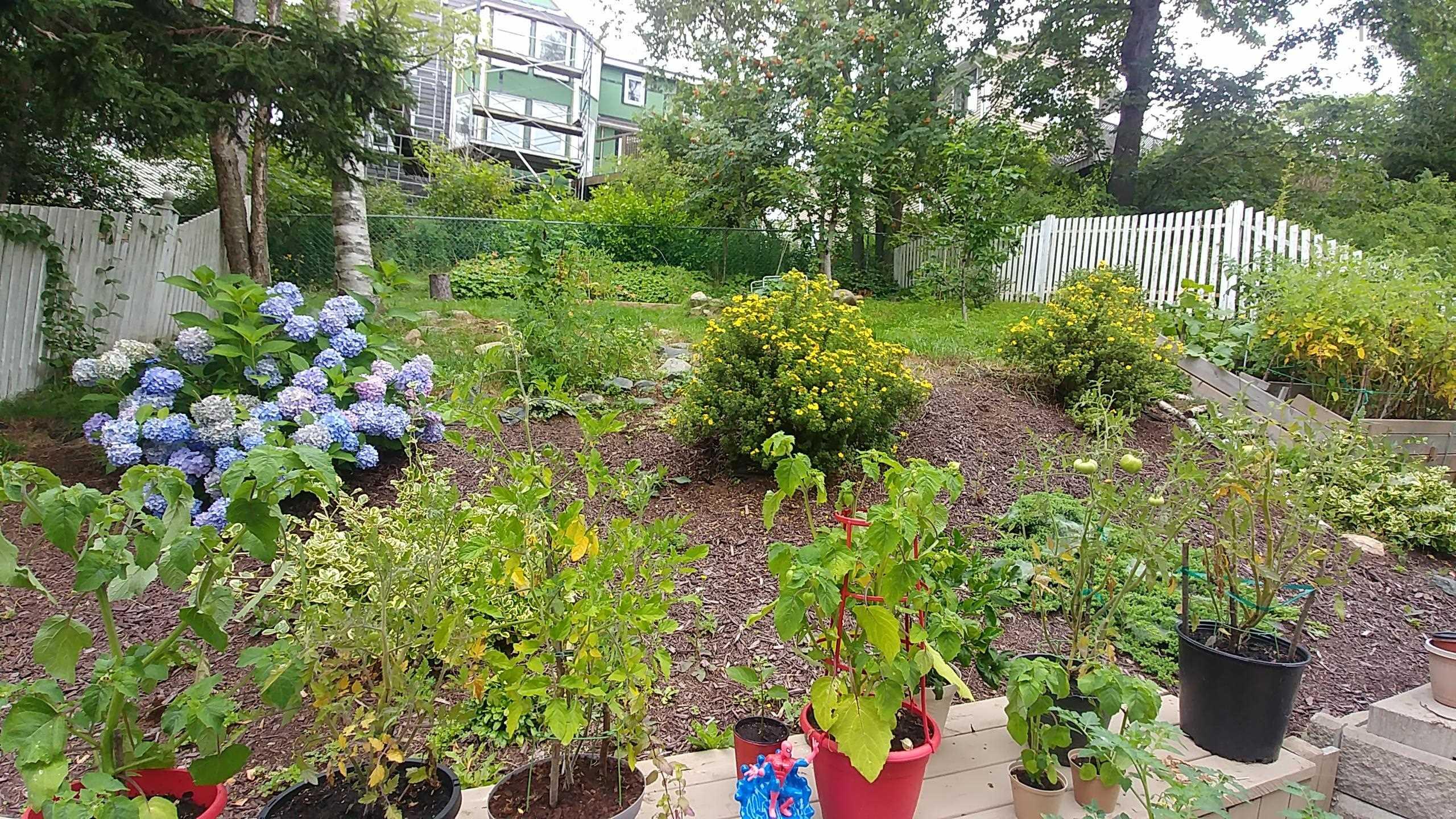 52 Regal Road photo #27