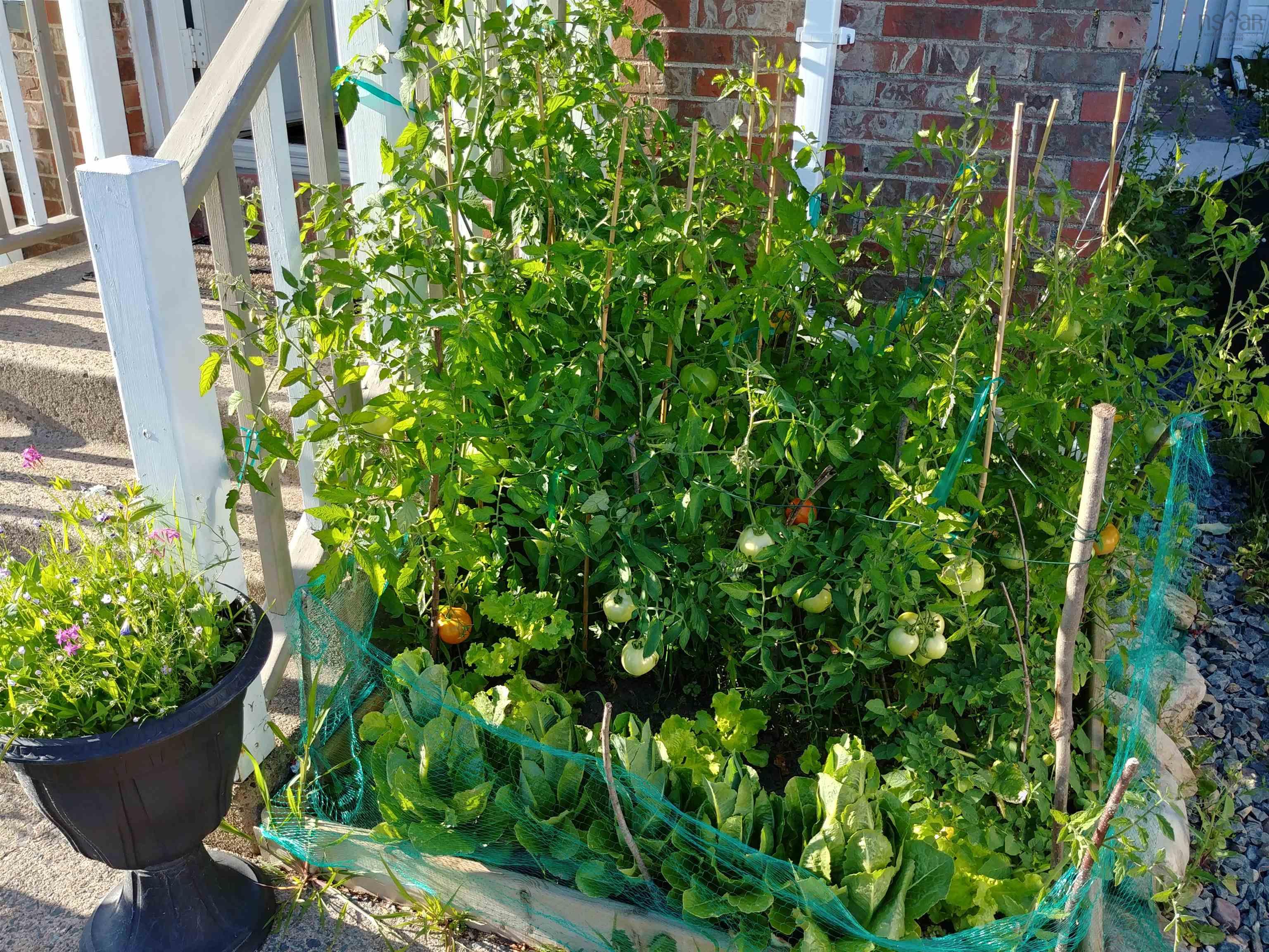 52 Regal Road photo #28