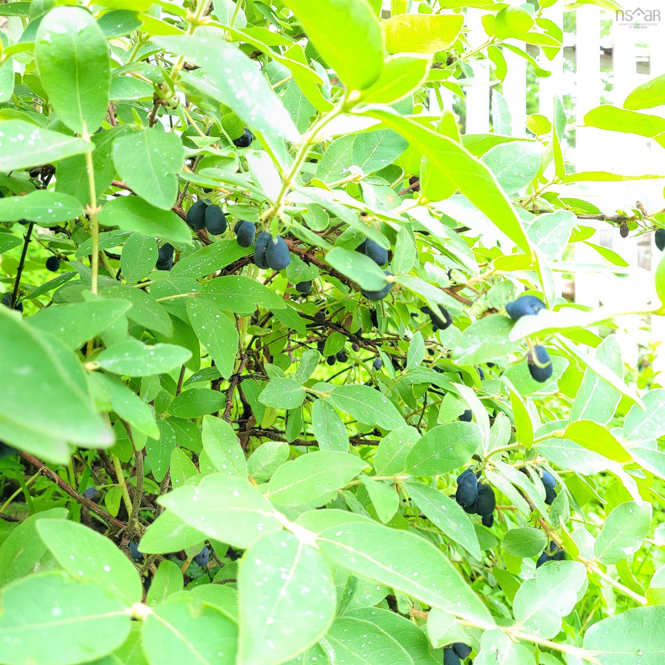 52 Regal Road photo #29