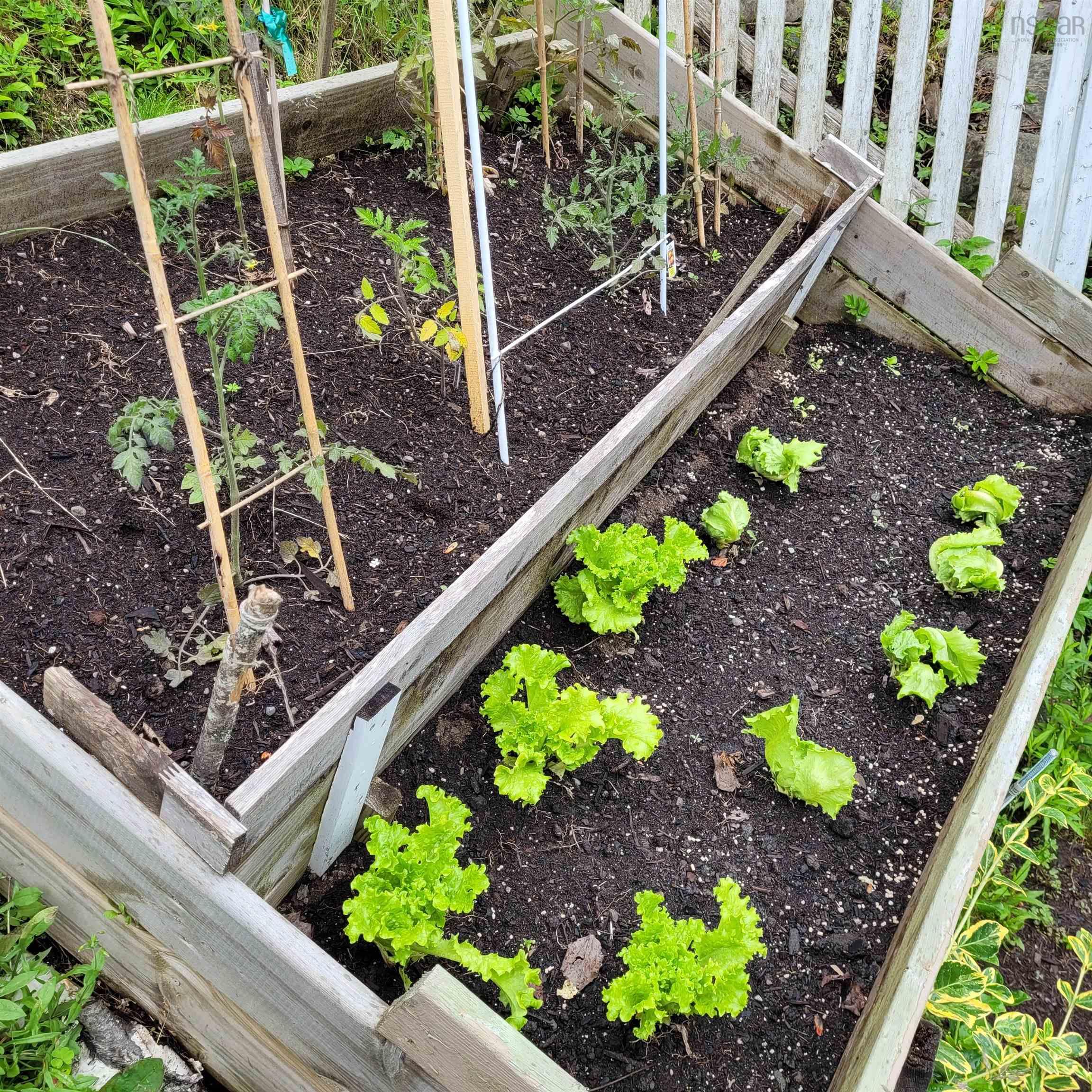 52 Regal Road photo #30