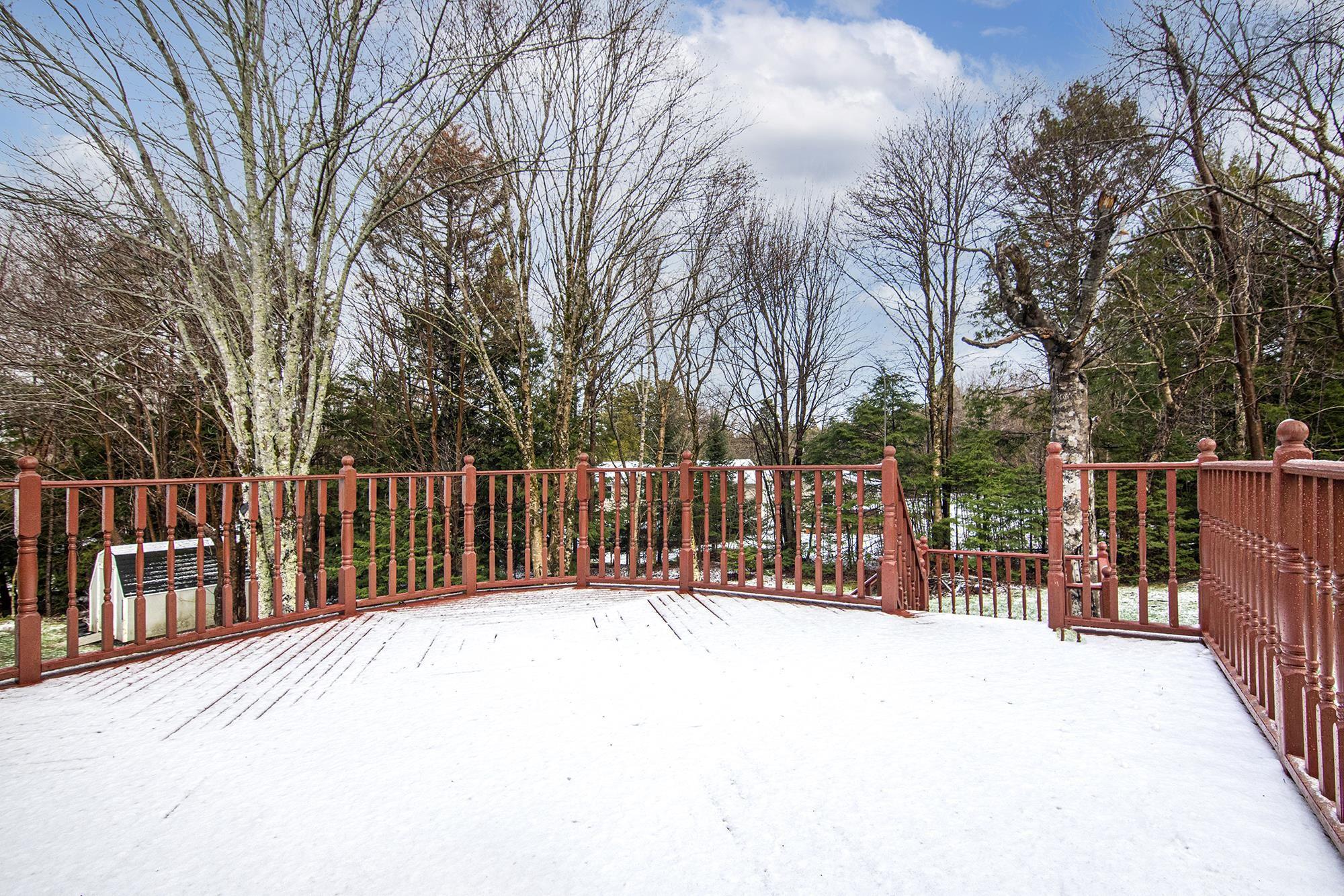 10 Ashley Drive photo #9