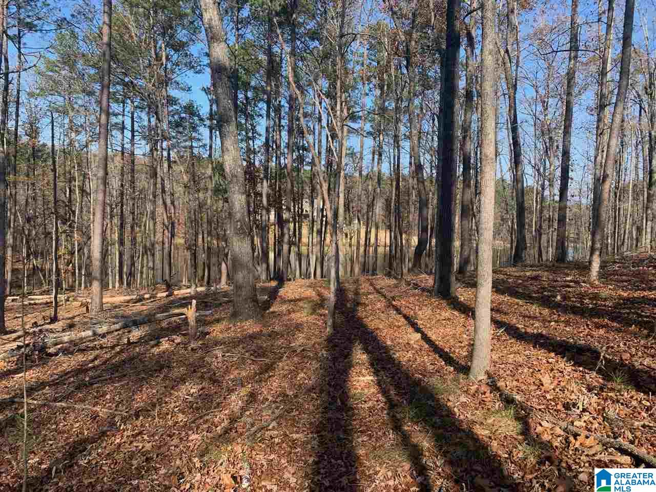 3270 RIVER BIRCH TRAIL 727
