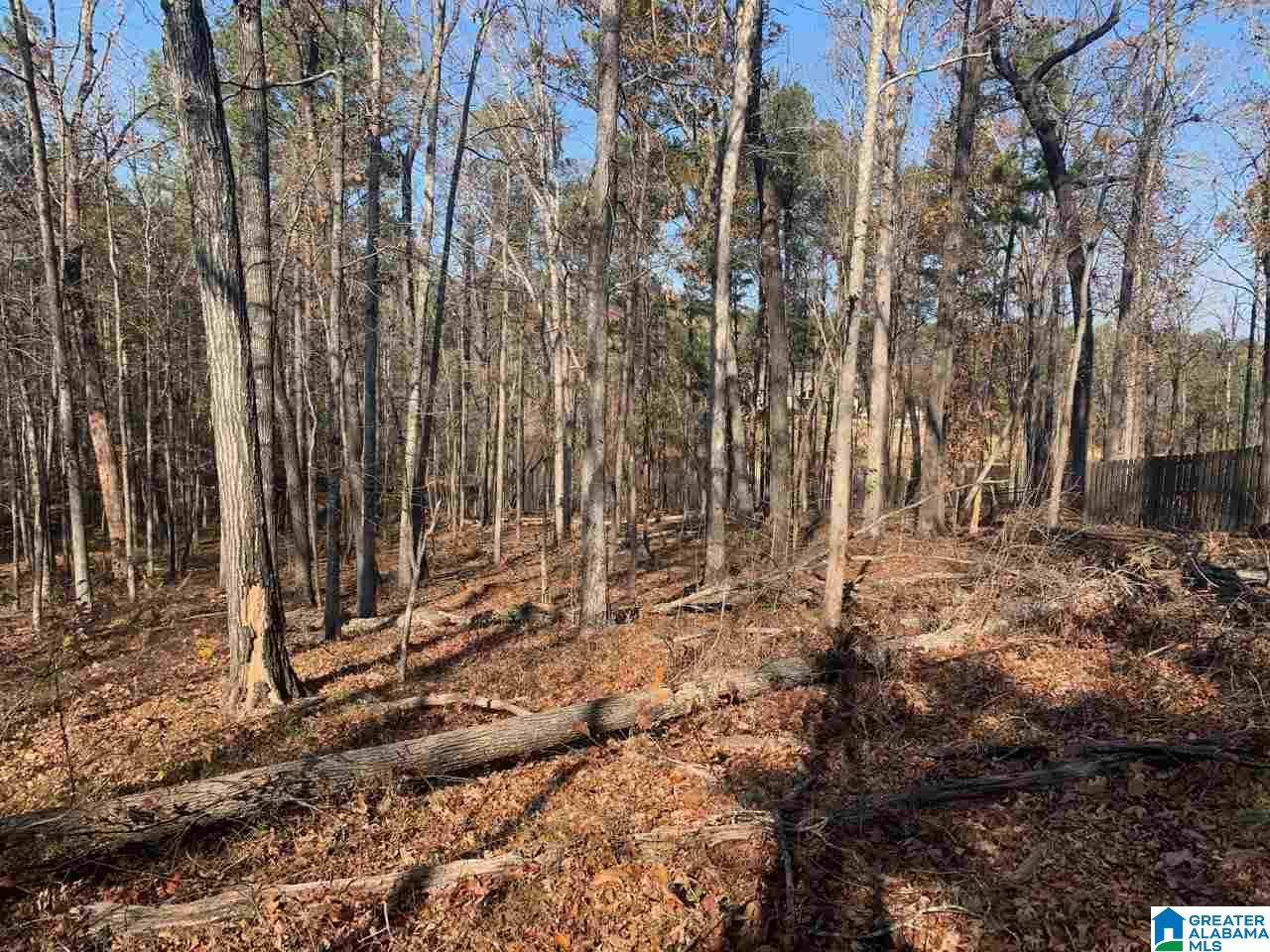 3270 RIVER BIRCH TRAIL 727