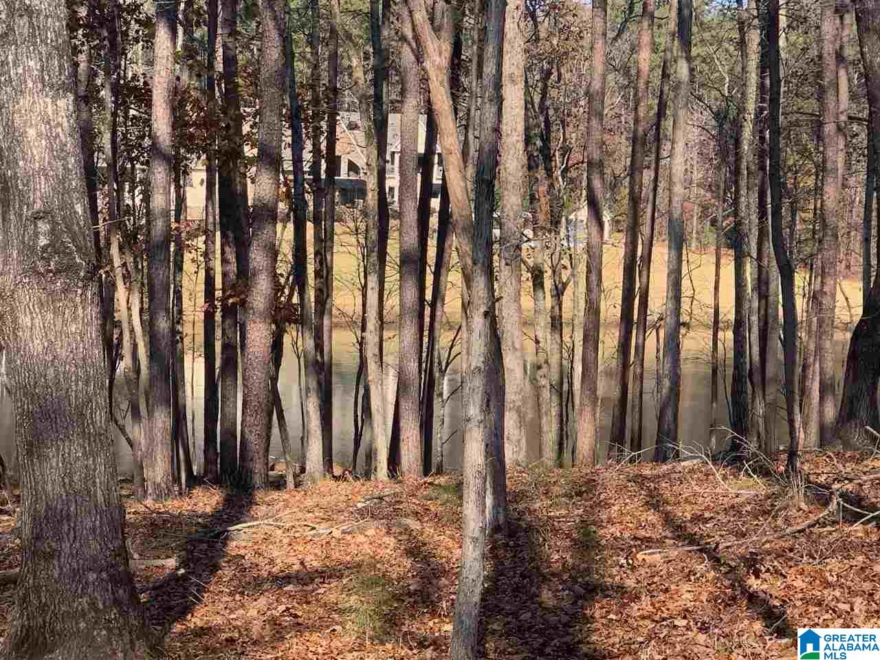 3270 RIVER BIRCH TRAIL 727
