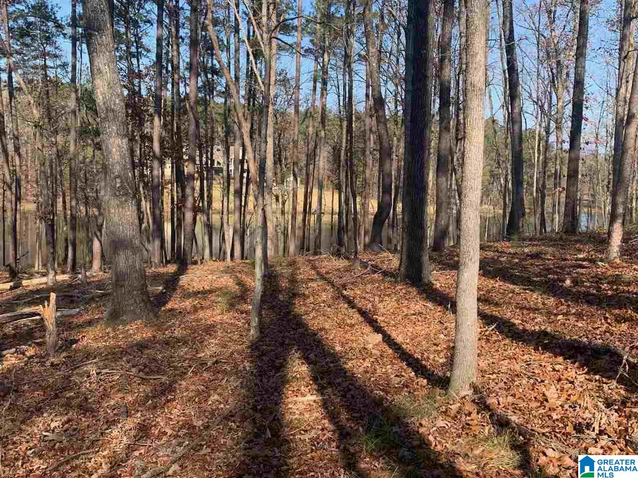 3270 RIVER BIRCH TRAIL 727