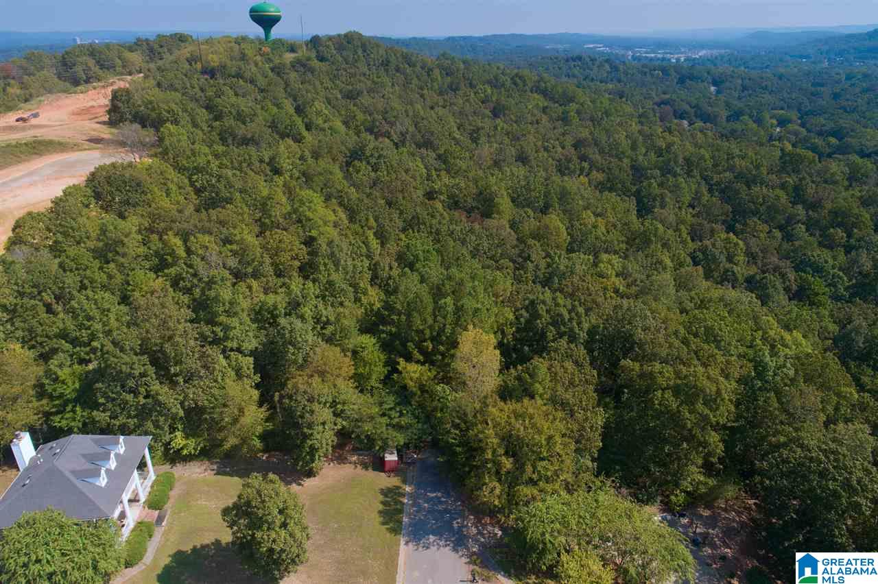 Seller just authorized a huge price reduction! Large parcel of undeveloped property in great Pelham location! Ideal for single family residential development.  Number of actual lots the property supports is TBD by purchaser.  Close in location - very convenient to schools, shopping, and major roadways.
