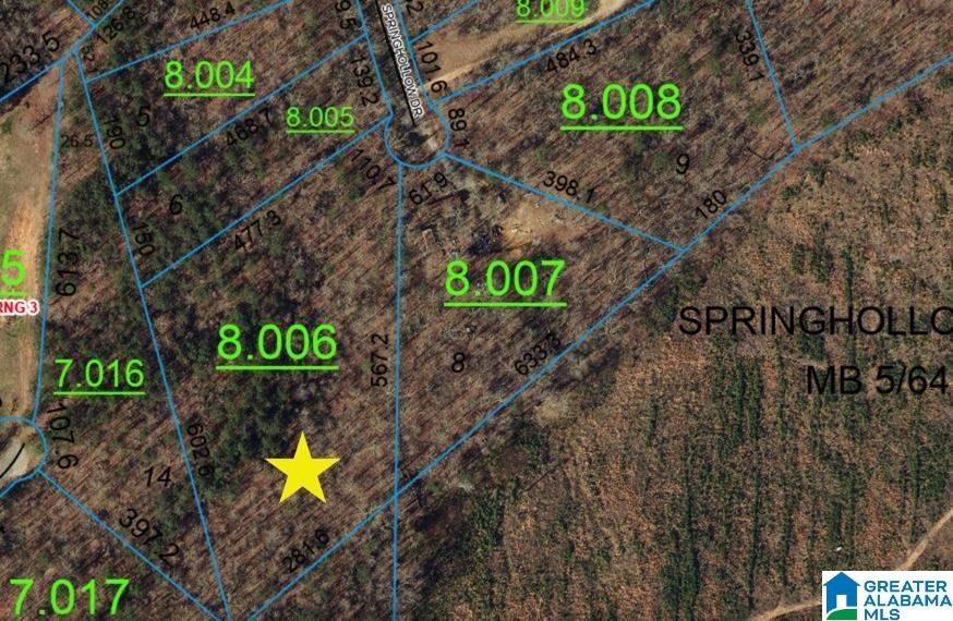 Homes for sale in Ashville, AL | 00007 Springhollow Road, Ashville, AL 35953 | MLS# 1303797