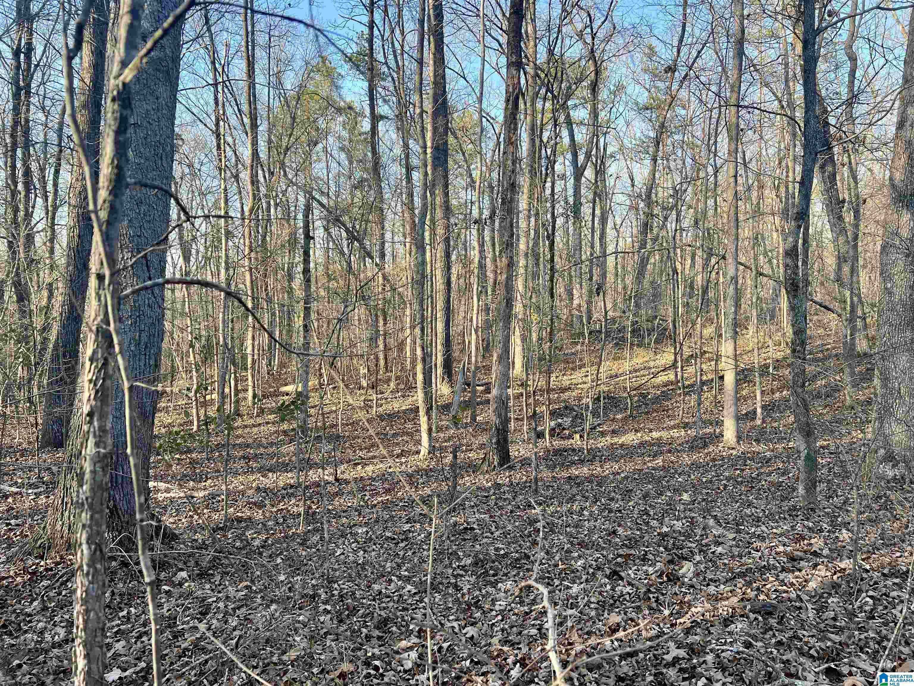 Homes for sale in Ashville, AL | 0009 Springhollow Road, Ashville, AL 35953 | MLS# 1303807