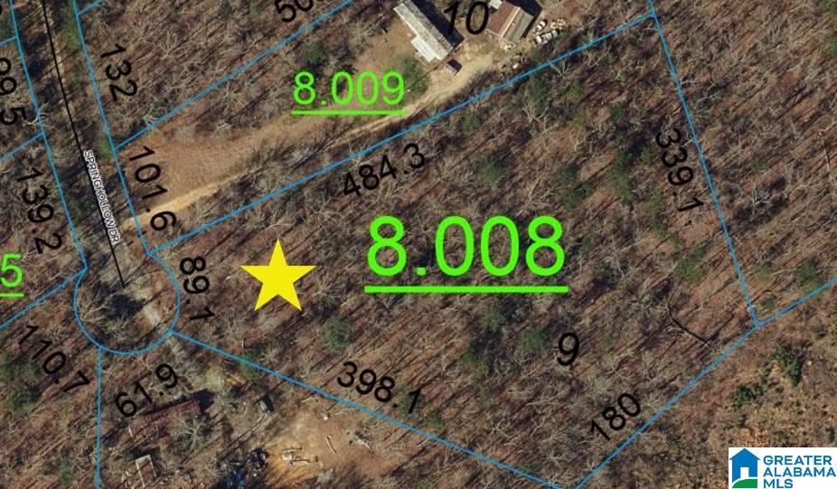 Homes for sale in Ashville, AL | 0009 Springhollow Road, Ashville, AL 35953 | MLS# 1303807