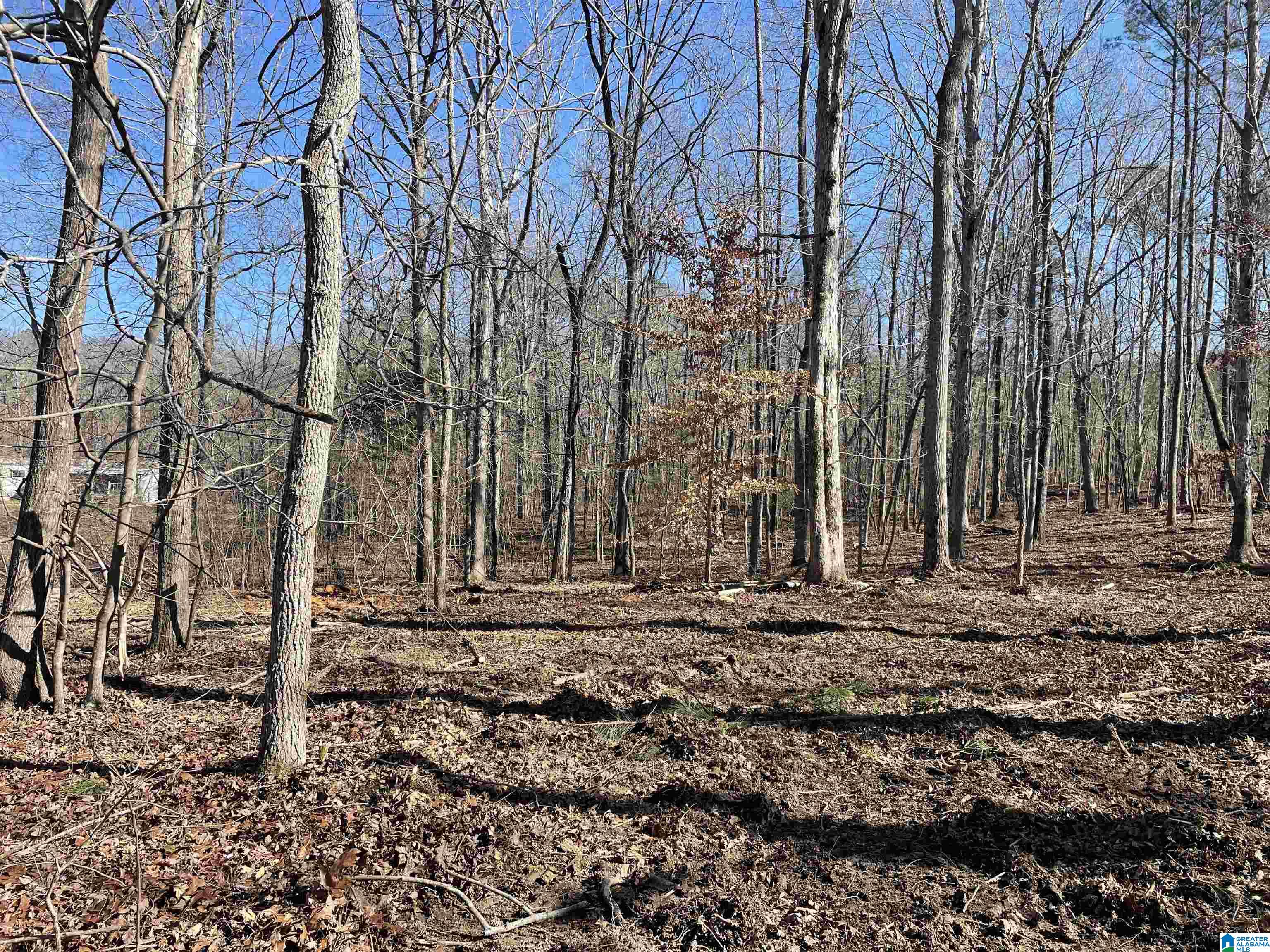 Homes for sale in Ashville, AL | 0009 Springhollow Road, Ashville, AL 35953 | MLS# 1303807