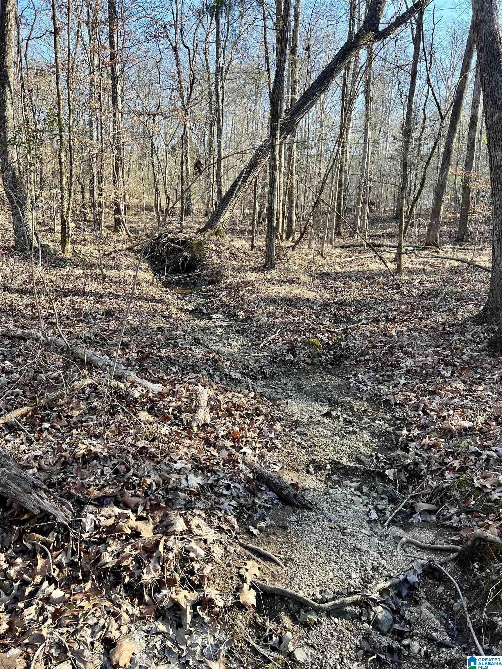 Homes for sale in Ashville, AL | 000 Springhollow Road, Ashville, AL 35953 | MLS# 1303846