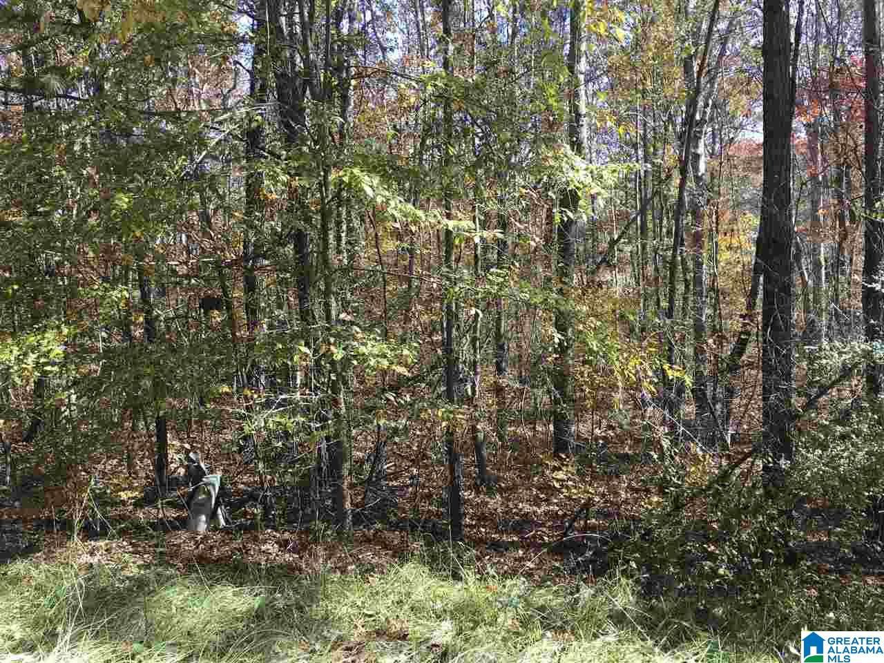 Homes for sale in Ashville, AL | 000 Springhollow Road, Ashville, AL 35953 | MLS# 1303846