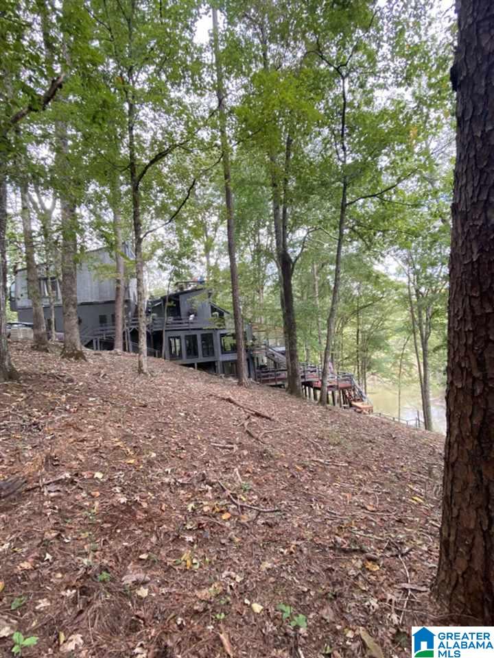 Riverfront Unique Private Home for Sale. Located on the banks of the beautiful Cahaba River in the Heart of Hoover one mile from retail yet surrounded in a lush forest.  Aprox 2 acres of unspoiled waterfront land can be viewed from 7 decks and porches with incredible scenery of wild life and is a bird watcher's paradise.  4500 Sq Ft home with the privacy of three complete living quarters if you choose.  Architectural dream come true with high ceilings, wine cellar, 2 fireplaces, sun rooms and of course two antique mahogany canoes hanging from the tall ceilings. A vacation home or year round resort style living.  Private Gorgeous Mansion....... Cahaba Style  Must see to believe... one of a kind .....bring your fishing pole and come for a tour.
