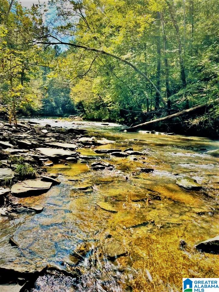 Homes for sale in Warrior, AL | 0 A Sunview Dr, Warrior, AL 35091 | MLS# 1306222