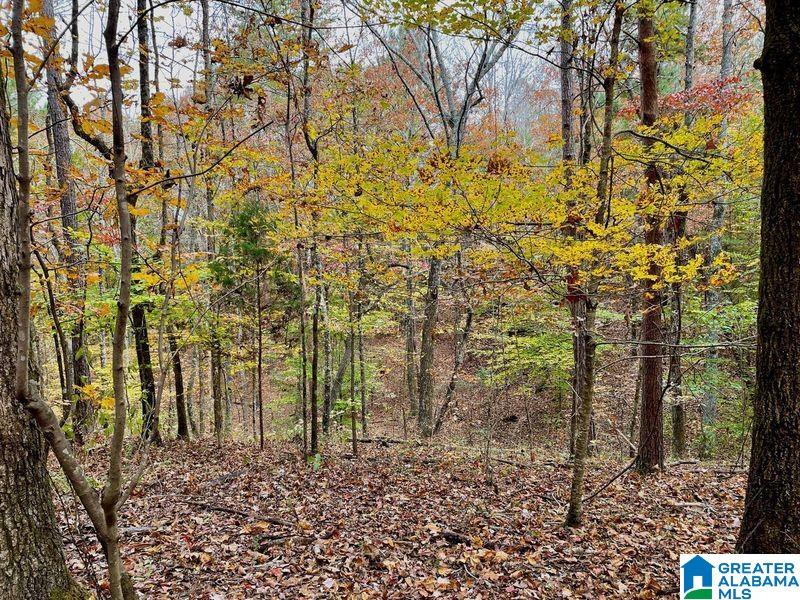 Homes for sale in Warrior, AL | 0 A Sunview Dr, Warrior, AL 35091 | MLS# 1306222