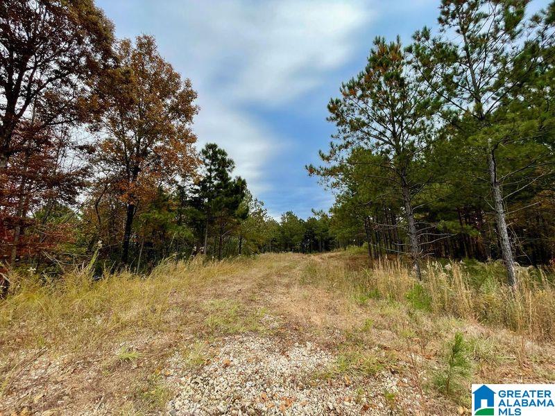 Homes for sale in Warrior, AL | 0 A Sunview Dr, Warrior, AL 35091 | MLS# 1306222