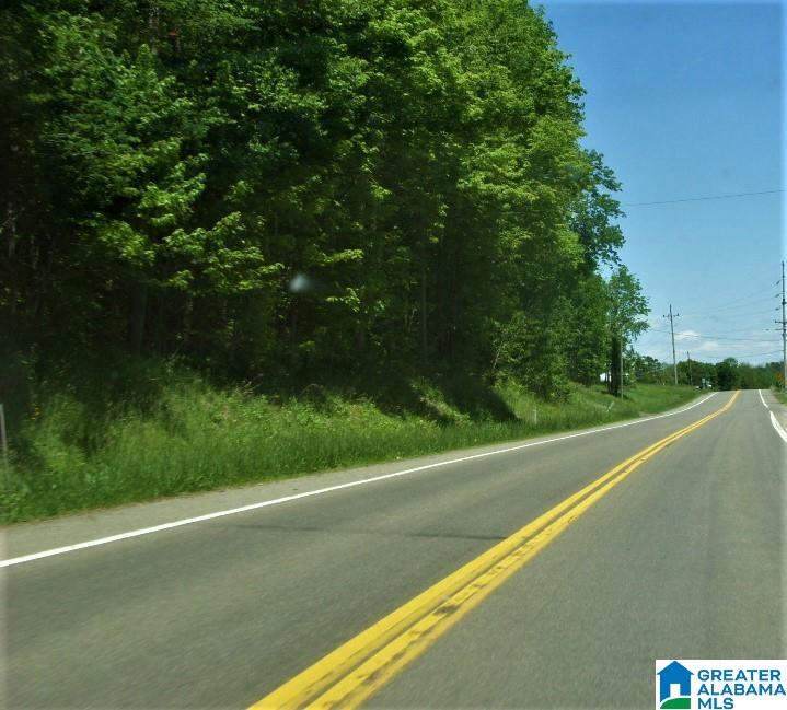 Homes for sale in Warrior, AL | 0 Mjhs Bone Dry Road, Warrior, AL 35091 | MLS# 1306226