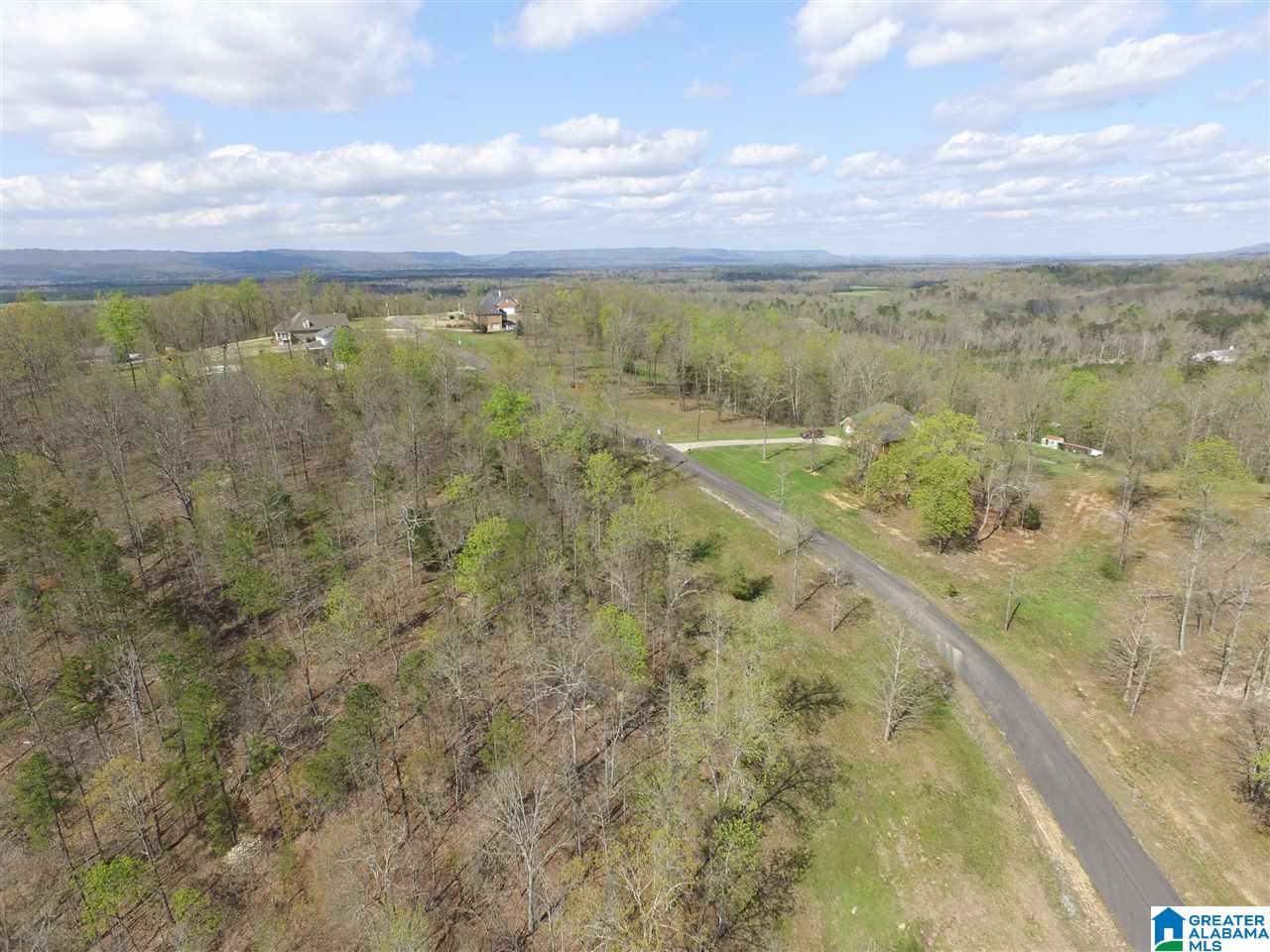 Homes for sale in Springville, AL | 558 Stone Ridge Dr, Springville, AL 35146 | MLS# 1309099