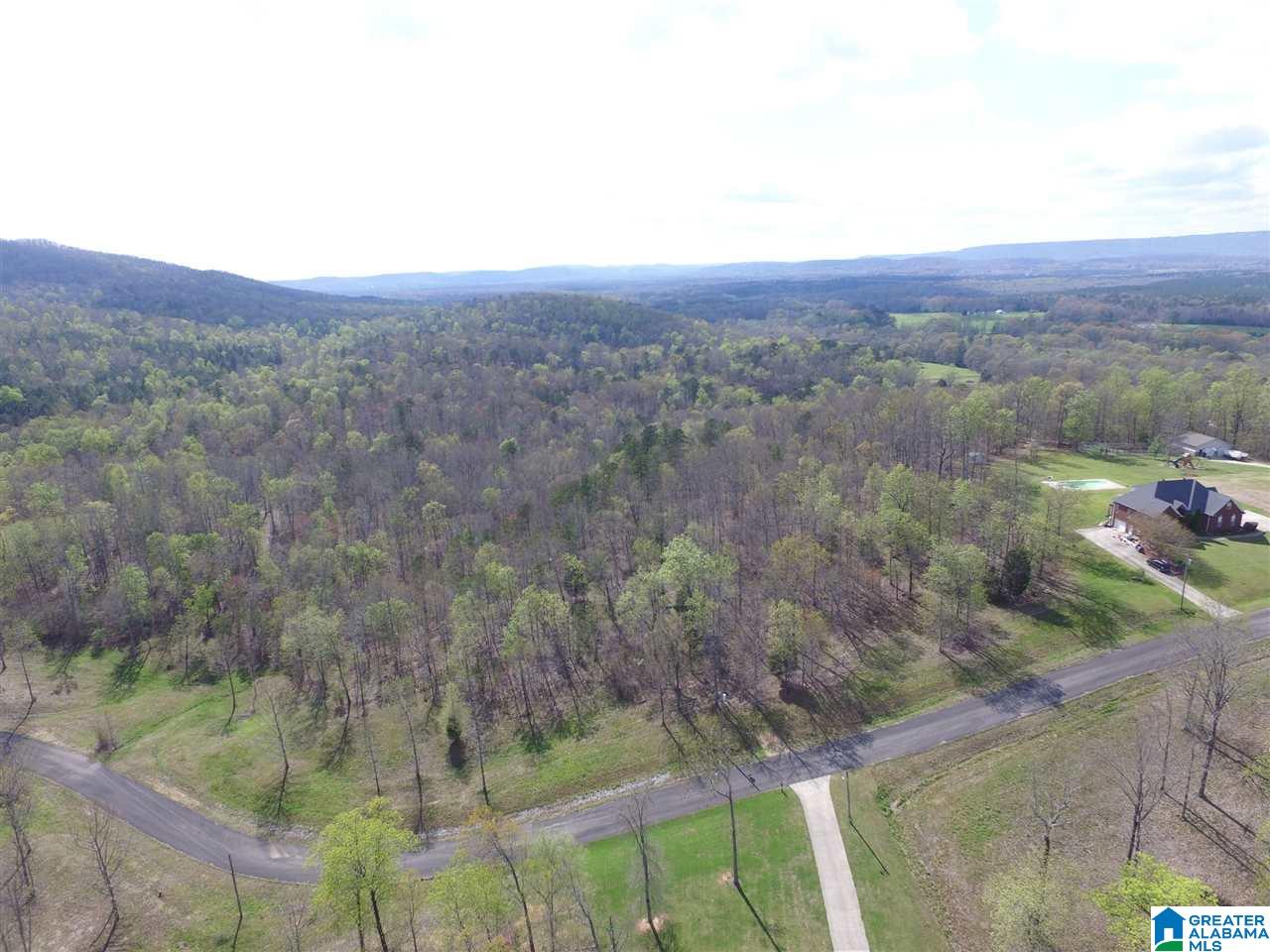 Homes for sale in Springville, AL | 558 Stone Ridge Dr, Springville, AL 35146 | MLS# 1309099