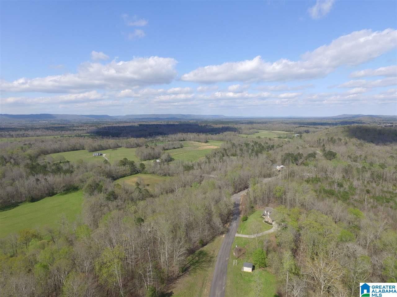 Homes for sale in Springville, AL | 558 Stone Ridge Dr, Springville, AL 35146 | MLS# 1309099