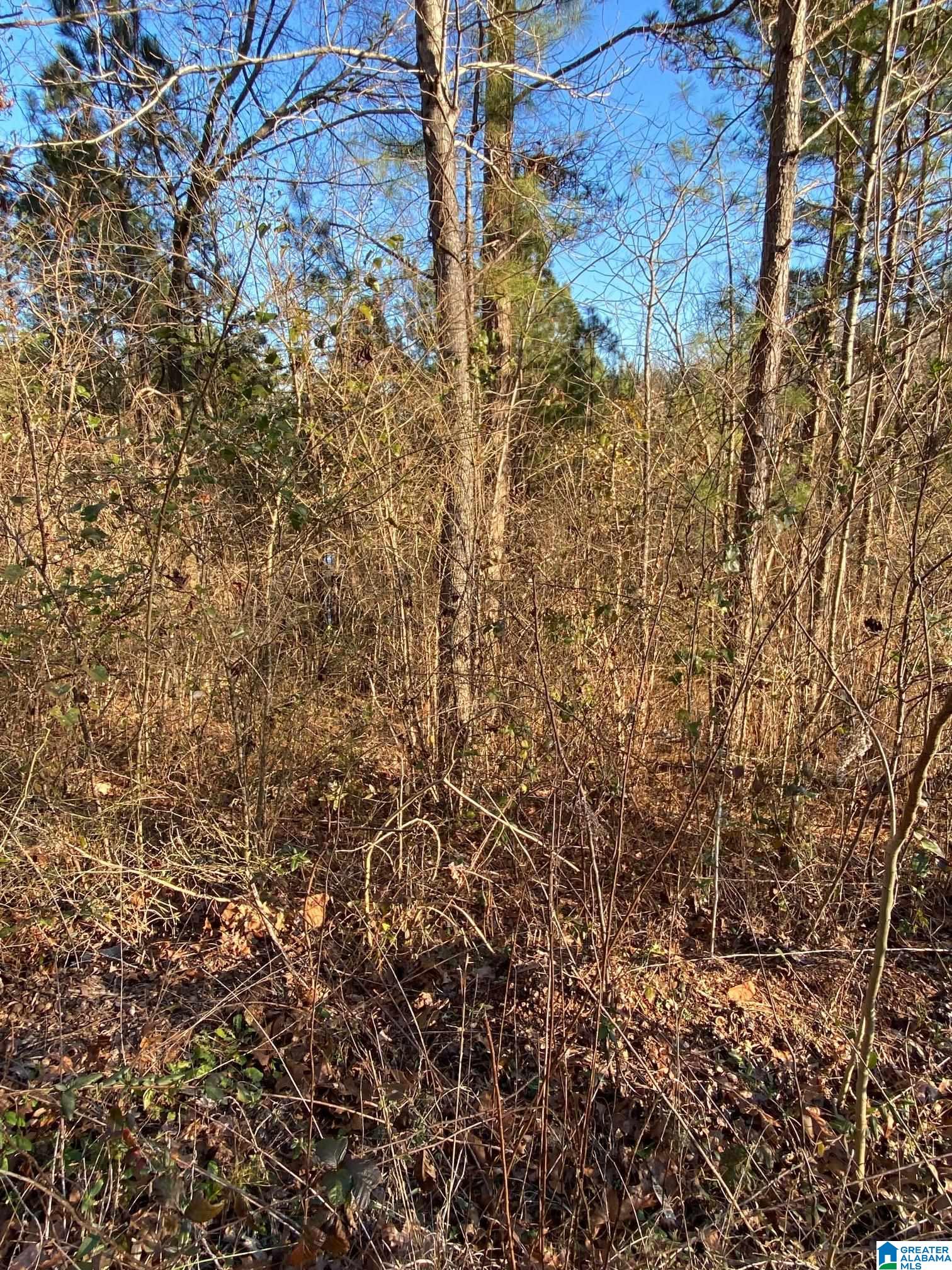 Homes for sale in Springville, AL | 0 Woodland Hills Dr, Springville, AL 35146 | MLS# 1310451