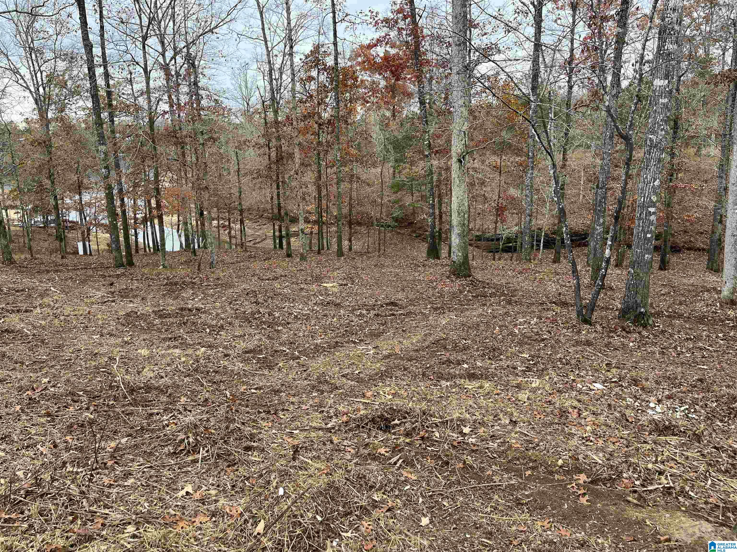 Lot 22/22A EDGEWATER BEND ROAD 22, DOUBLE SPRINGS, AL 35553