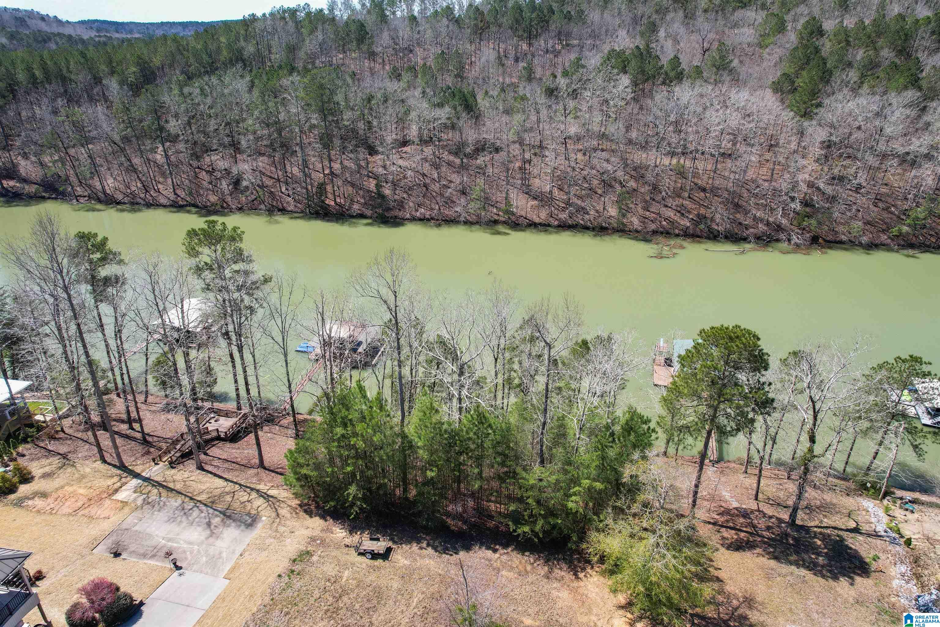 Lot 9 PARADISE TRAIL 9, ARLEY, AL 35541