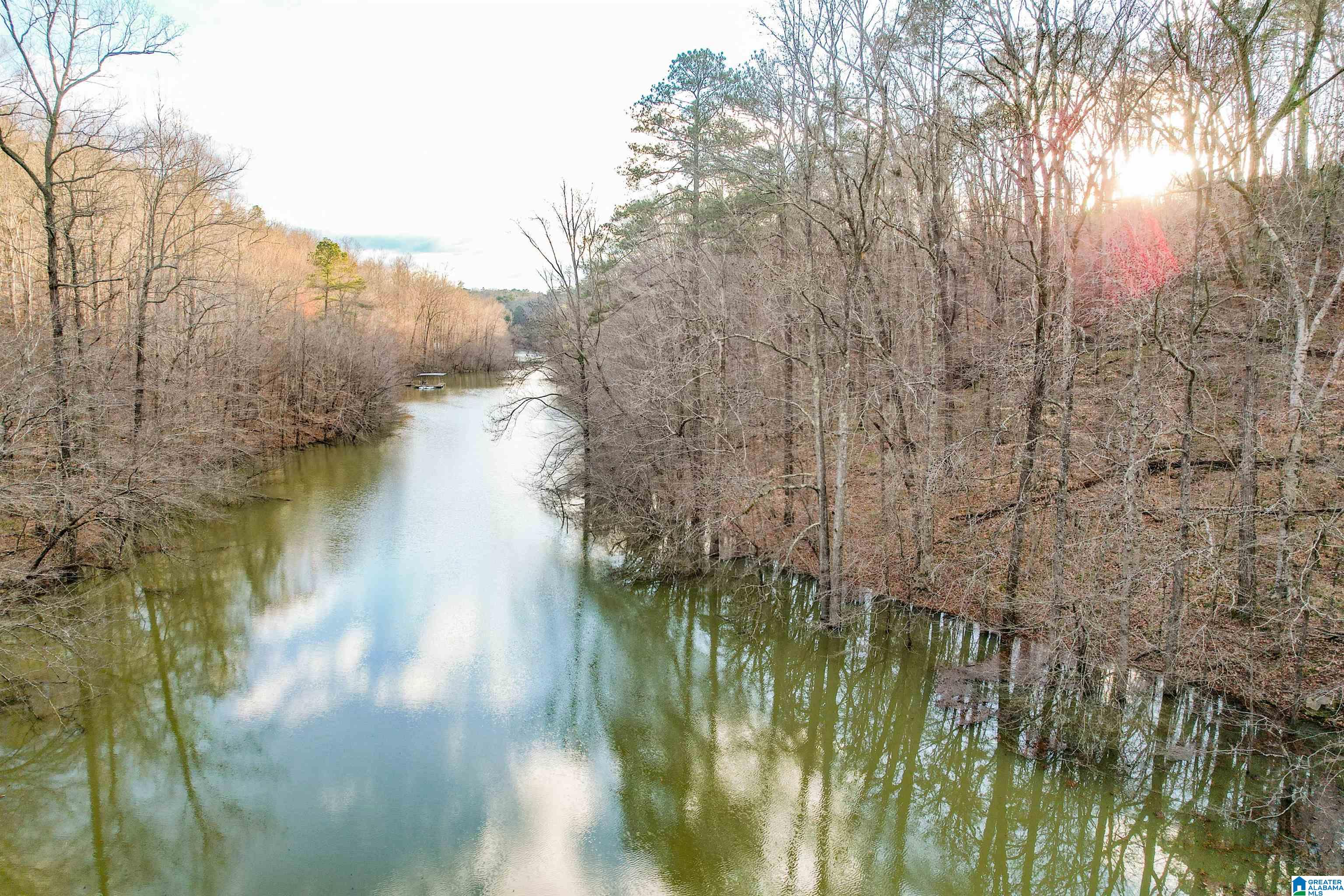 6.4 Acres COUNTY ROAD 3132 Unrestricted Lot, HOUSTON, AL 35572