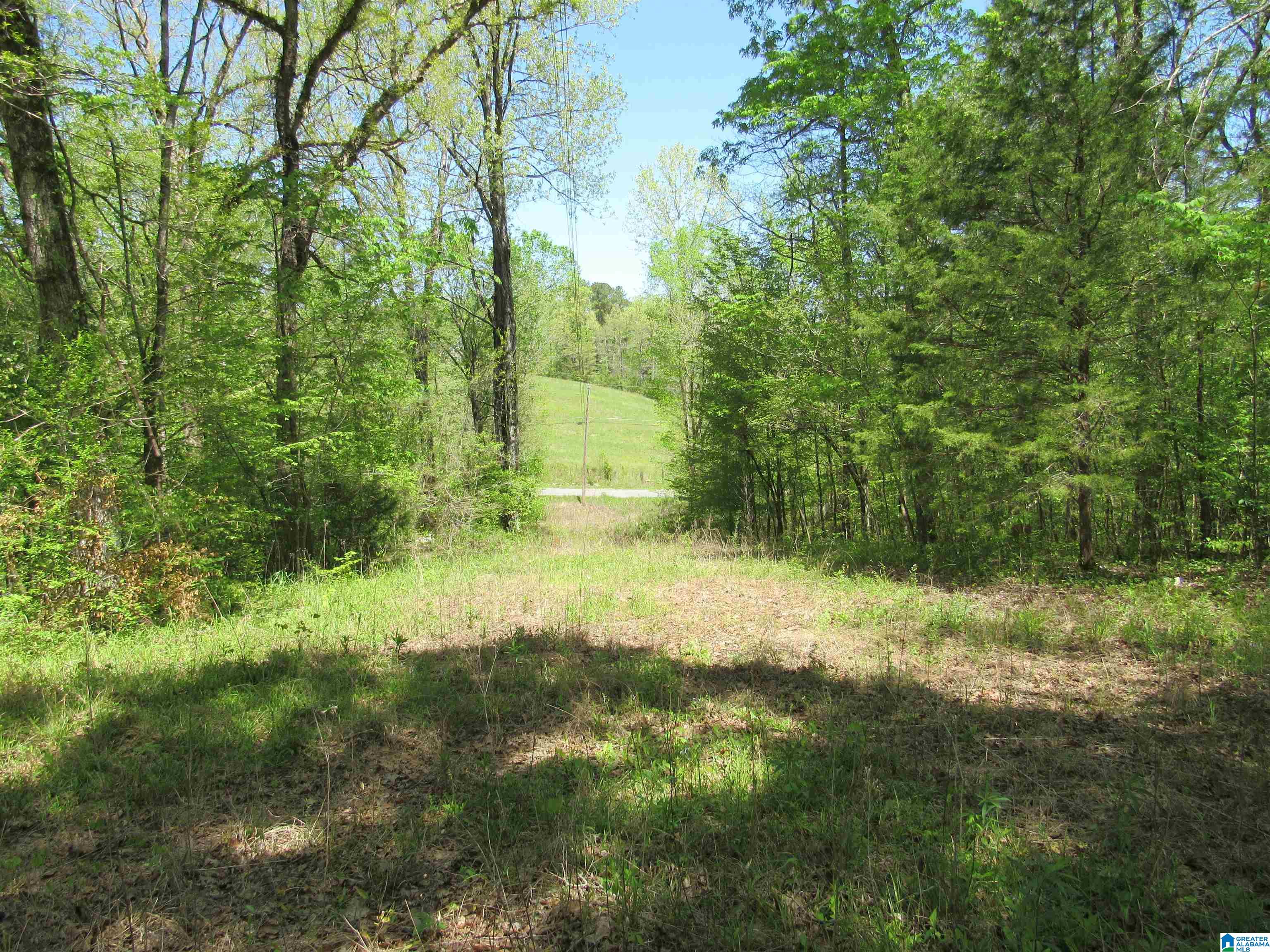 LOT 2 Indian Creek Trail, WARRIOR, Alabama image 11