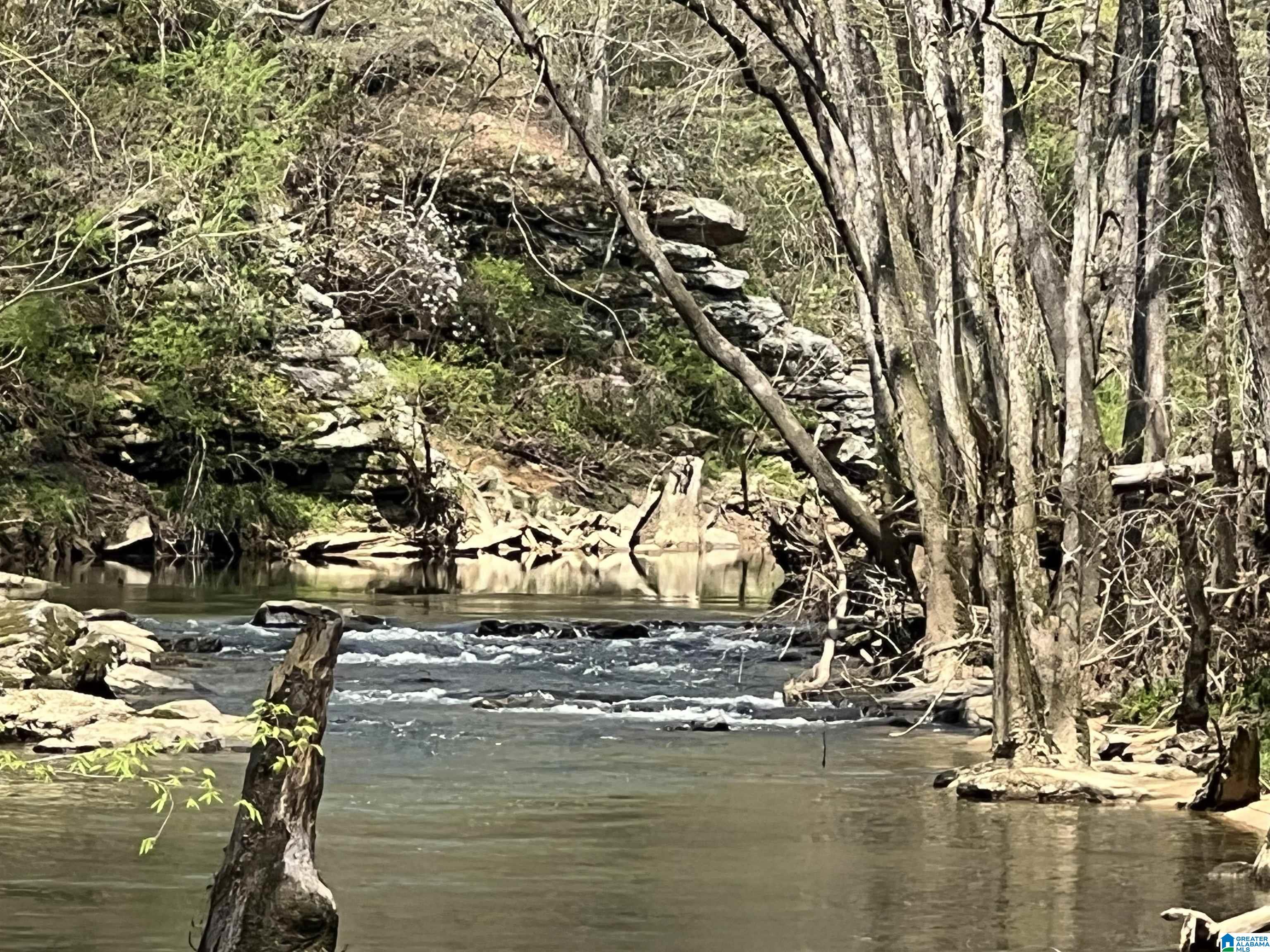 This land is your perfect get-away with some cleared land, partially fenced, bridge for crossing a creek giving access to all the land with trails, rock bluff over hangs, electricity for your RV hook up. This is a rare find and a great location