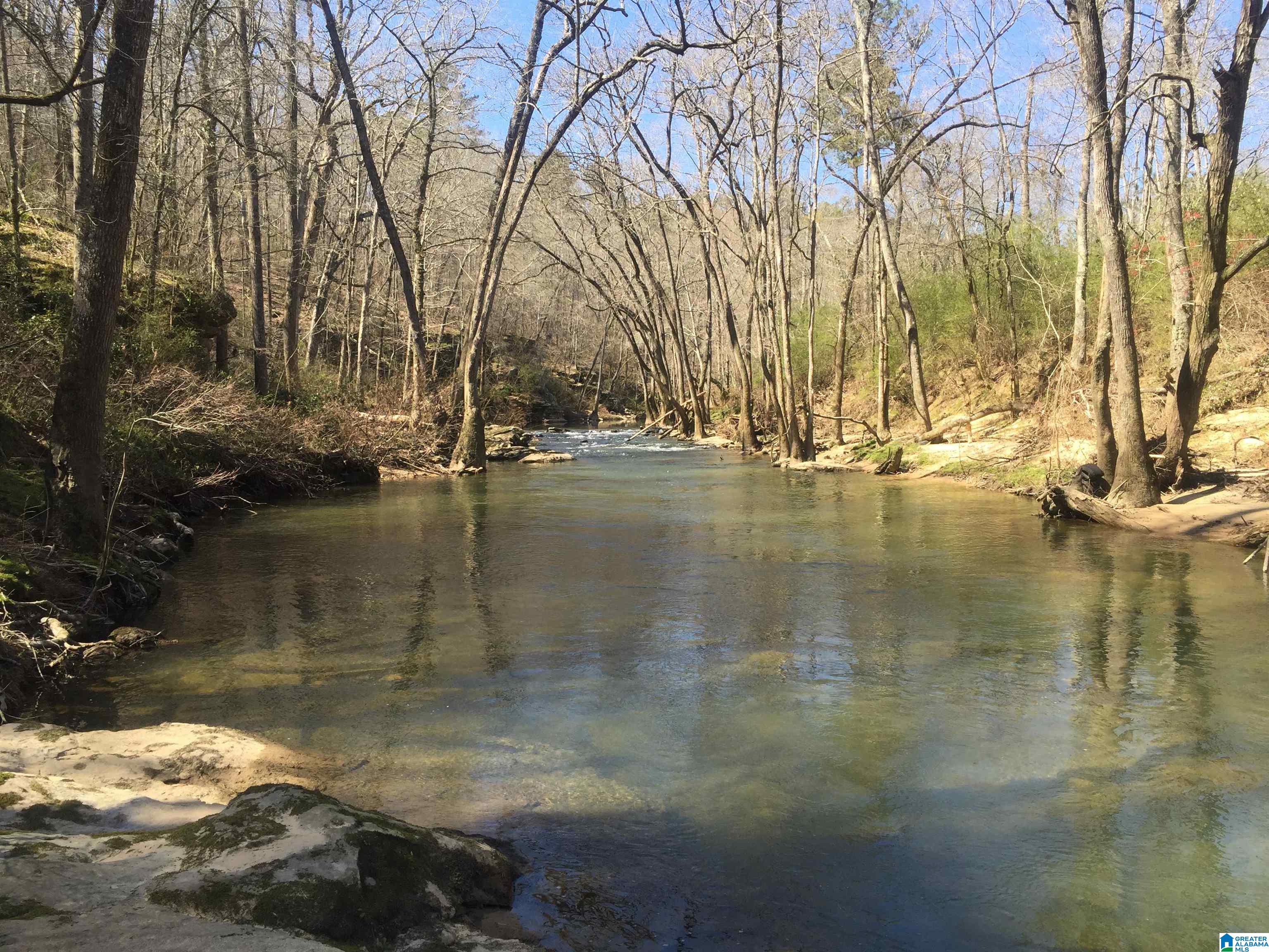 Welcome to 31 acres of exceptional land that offers water frontage on the Mulberry Fork River, bluff views, scenic trails for hiking or riding horse back, pasture/ open fields, fencing, RV hookup and deck for a relaxing get away just off Hwy 67.