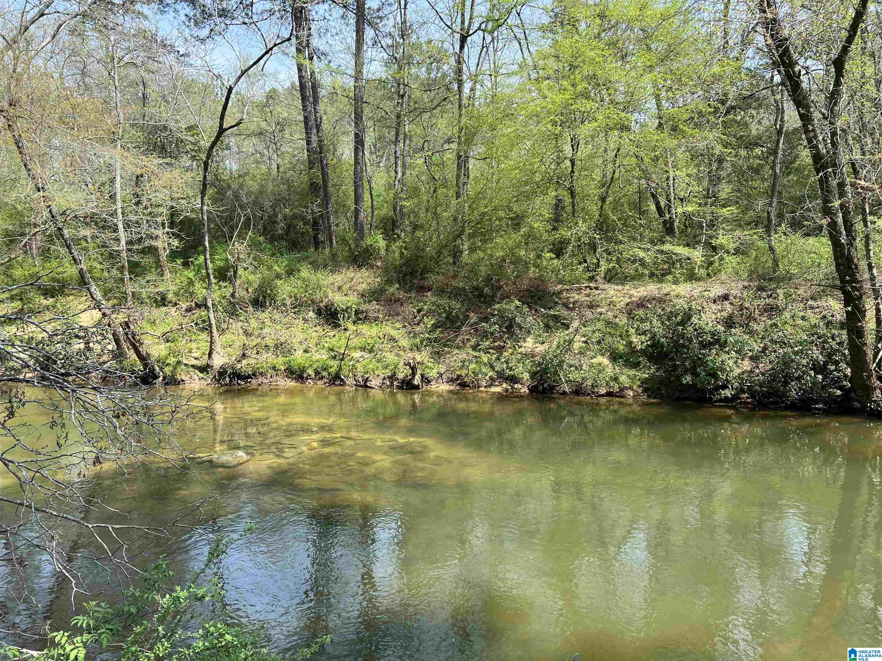 Alabama has so many scenic water ways and this is one that will capture your heart. If you love the great outdoors do not want to miss this incredible opportunity to own land with approx. 3000\' of river frontage, 31 acres w/trails, pasture, fence, elec...