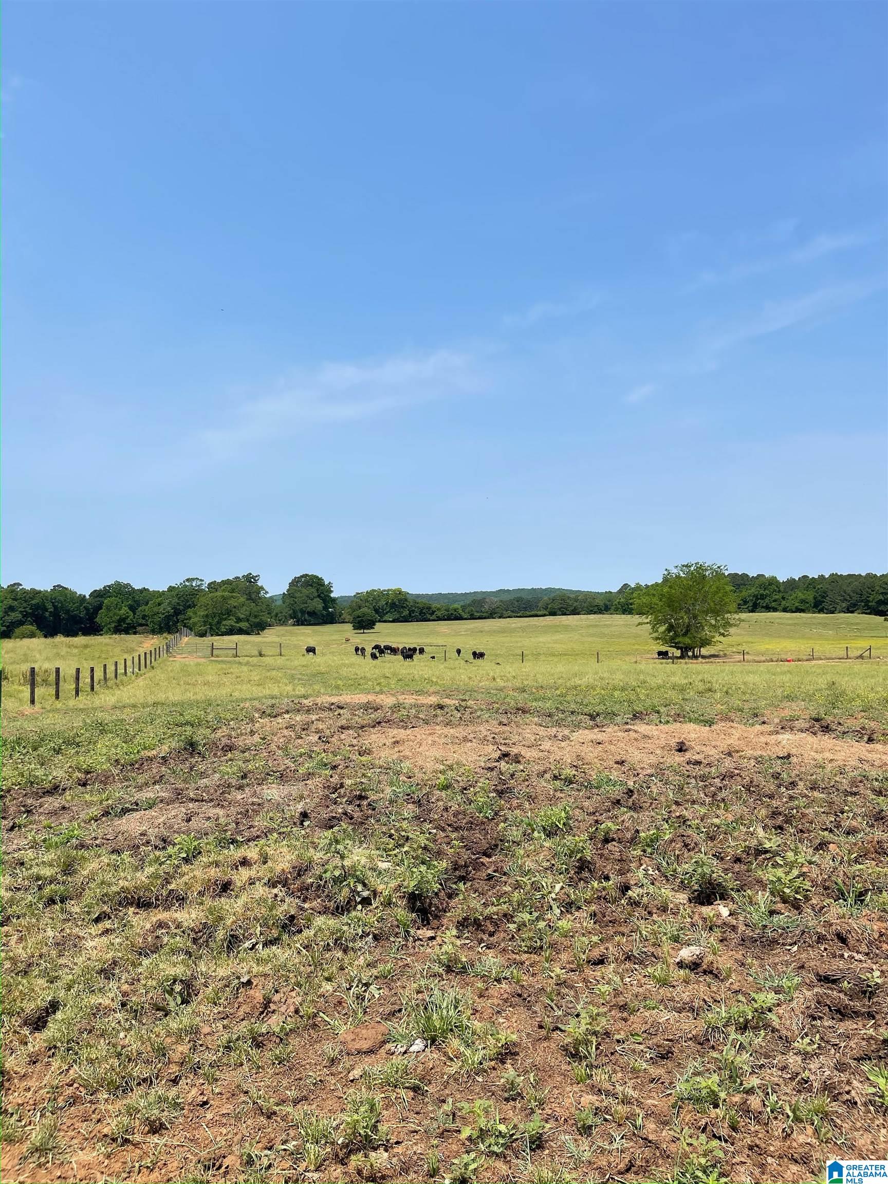 HIGHWAY 61 0, WILSONVILLE, AL, 35186 MLS 1321084 Lake & Coast Real