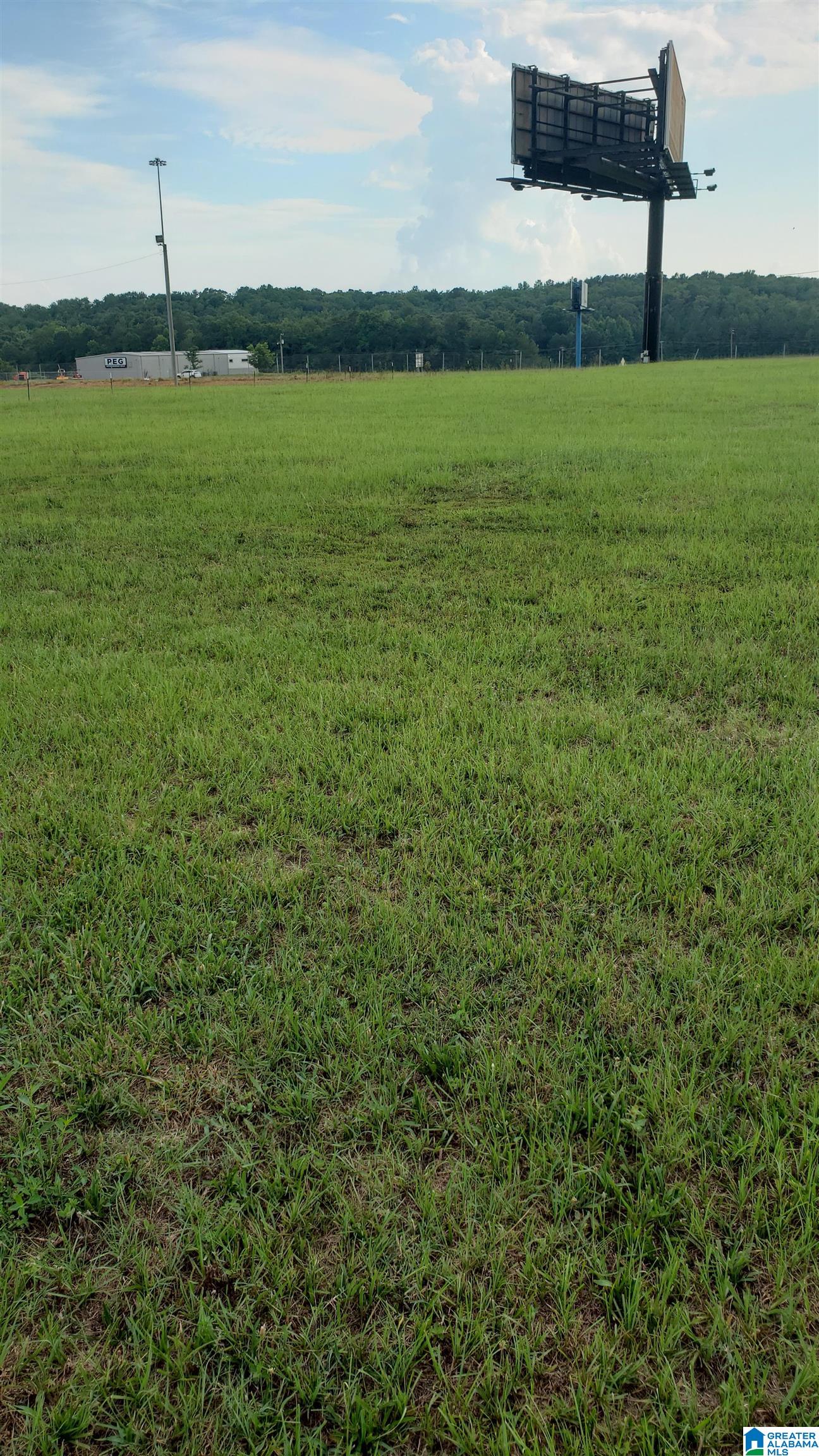 Homes for sale in Jemison, AL | County Road 93, Jemison, AL 35085 | MLS# 1325615