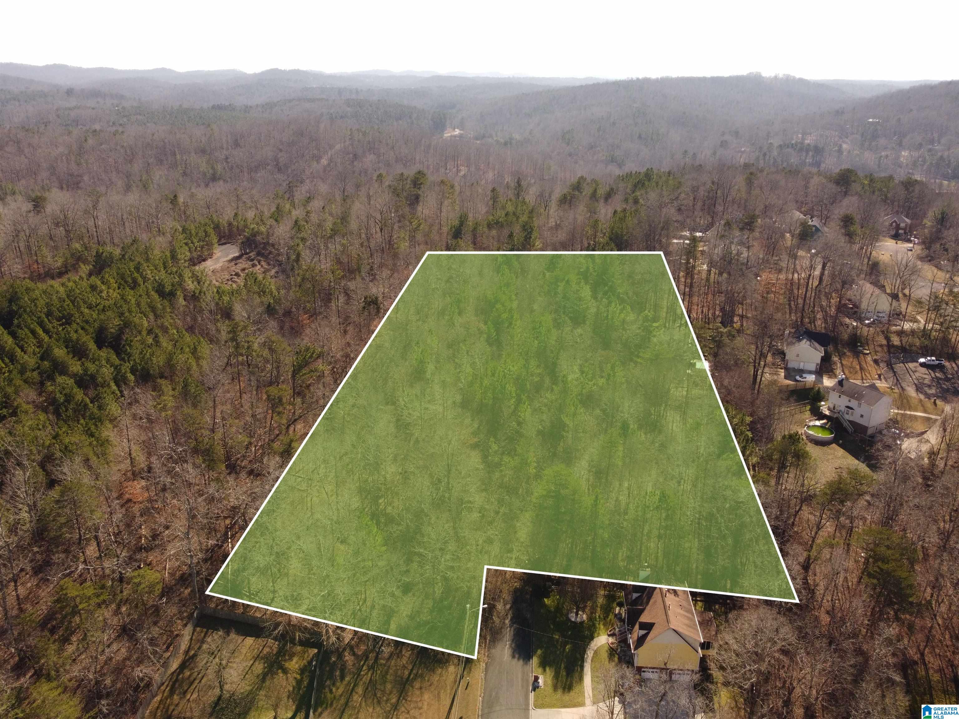 Homes for sale in Pinson, AL | 6758 Brittany Pl, Pinson, AL 35126 | MLS# 1325762