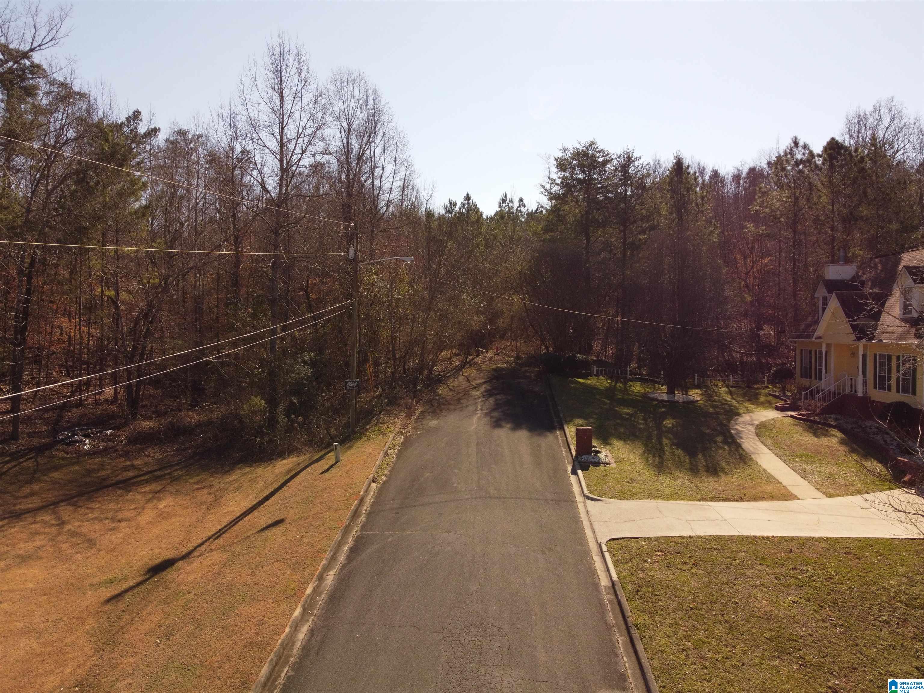 Homes for sale in Pinson, AL | 6758 Brittany Pl, Pinson, AL 35126 | MLS# 1325762