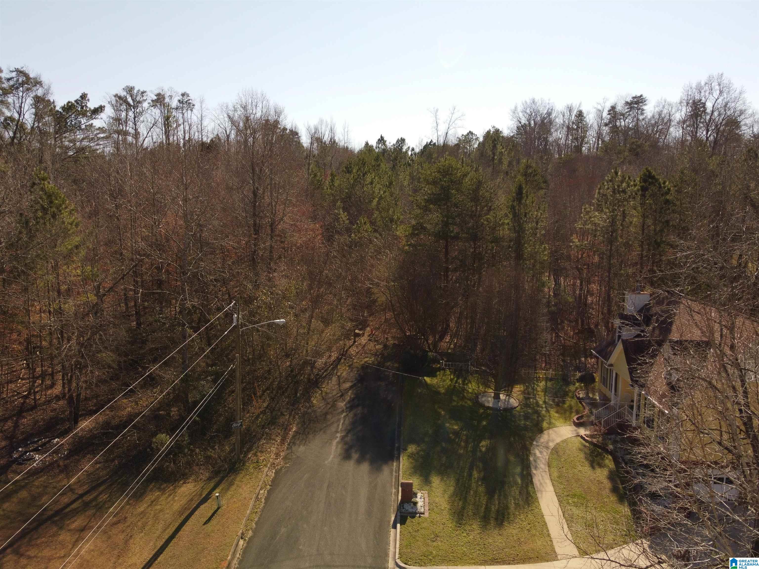 Homes for sale in Pinson, AL | 6758 Brittany Pl, Pinson, AL 35126 | MLS# 1325762