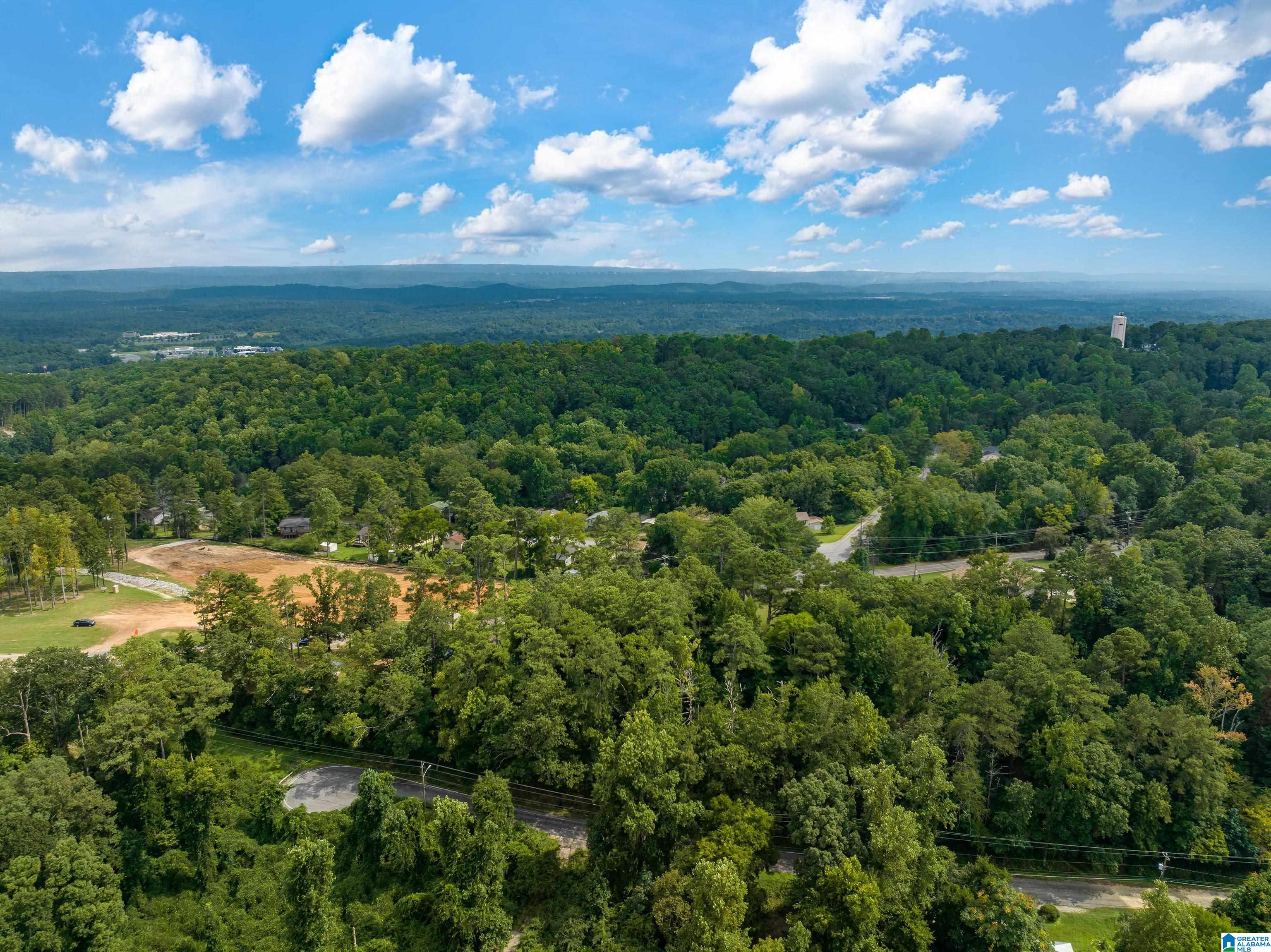 Homes for sale in Irondale, AL | 1236 Grants Mill Road, Irondale, AL 35210 | MLS# 1331366