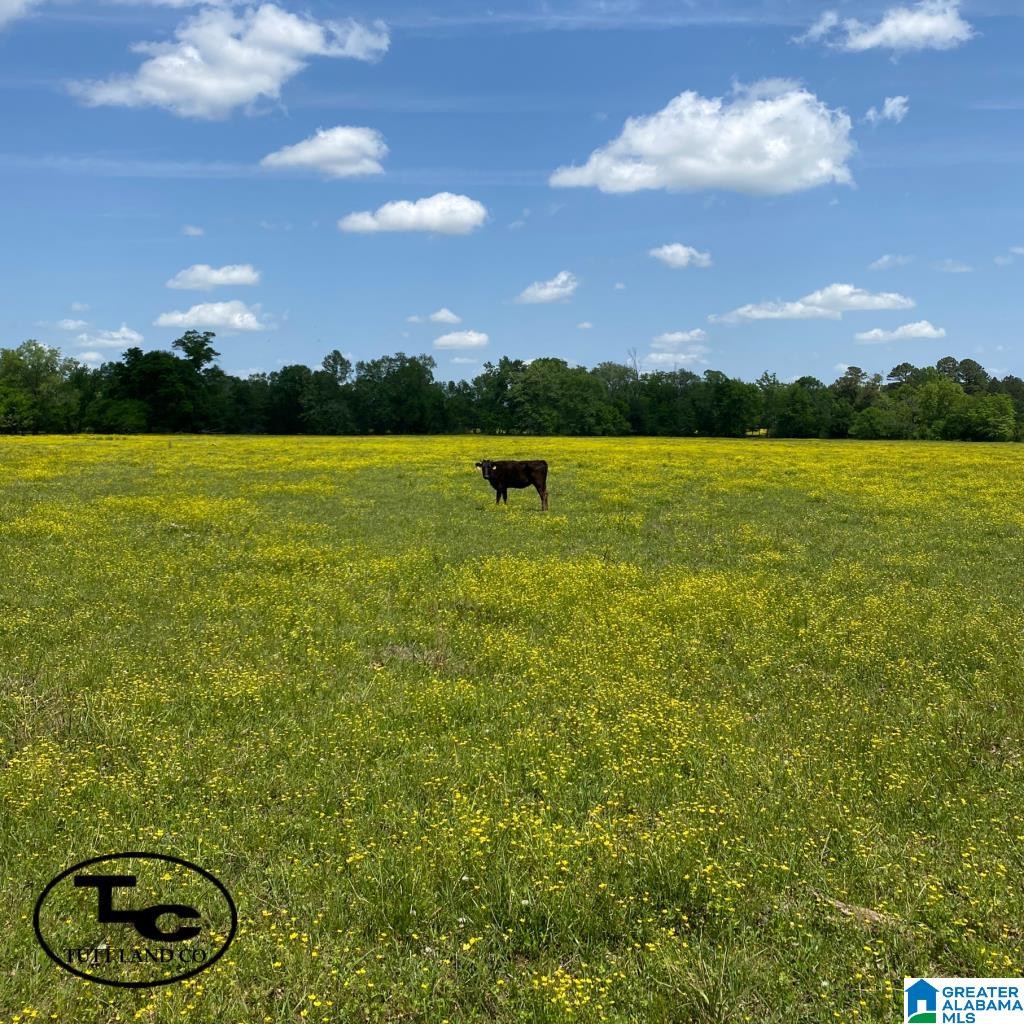 Land for sale in CHILDERSBURG, Alabama, 1331383