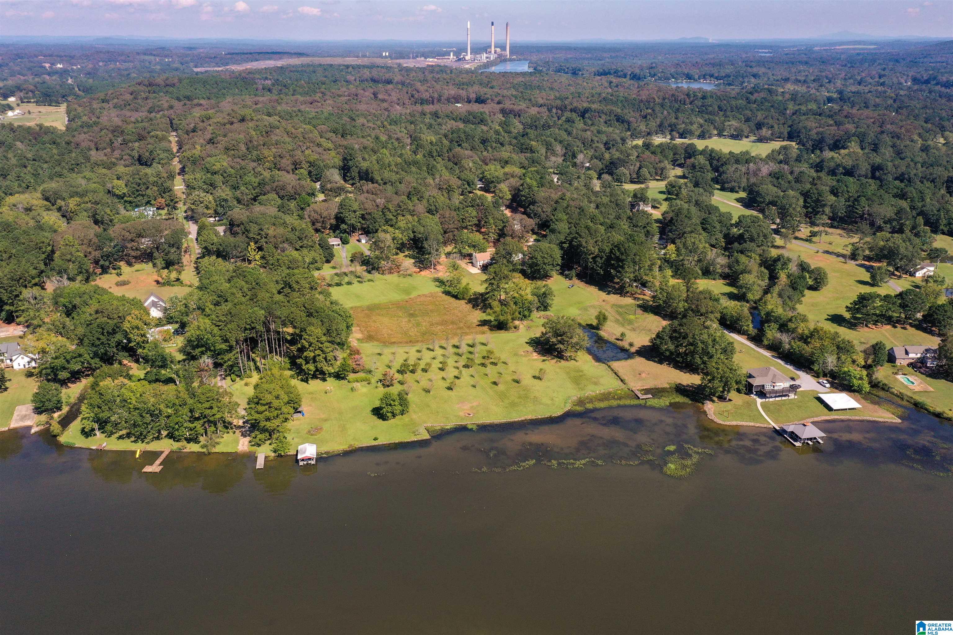 Land for sale in WILSONVILLE, Alabama, 1335198