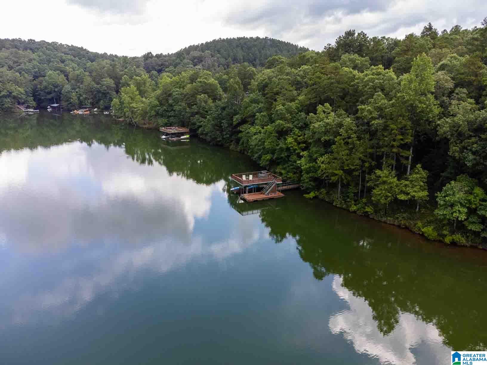 LOT 18 OUTBACK COVE DRIVE 18, WEDOWEE, AL 36278 Wedowee Lake And