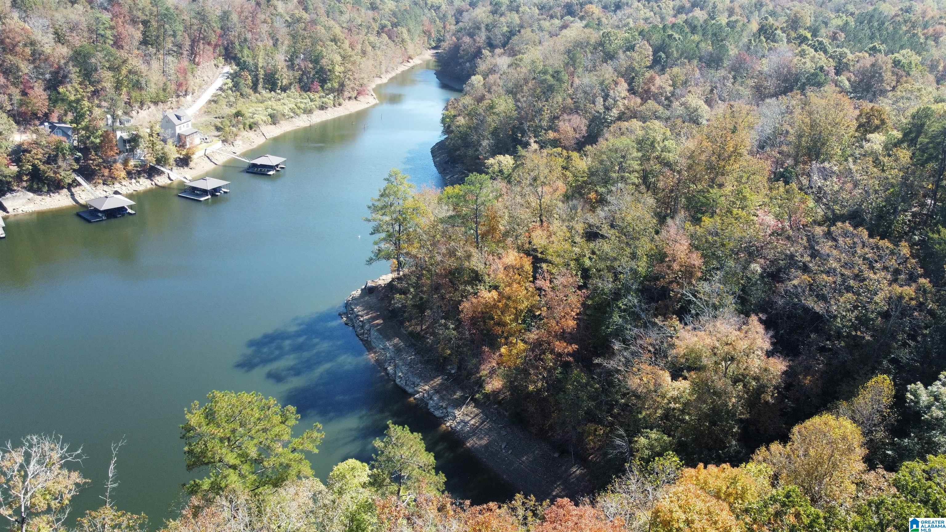 Lot 4 BAILEY CLIFFS ROAD 4, CRANE HILL, AL 35053