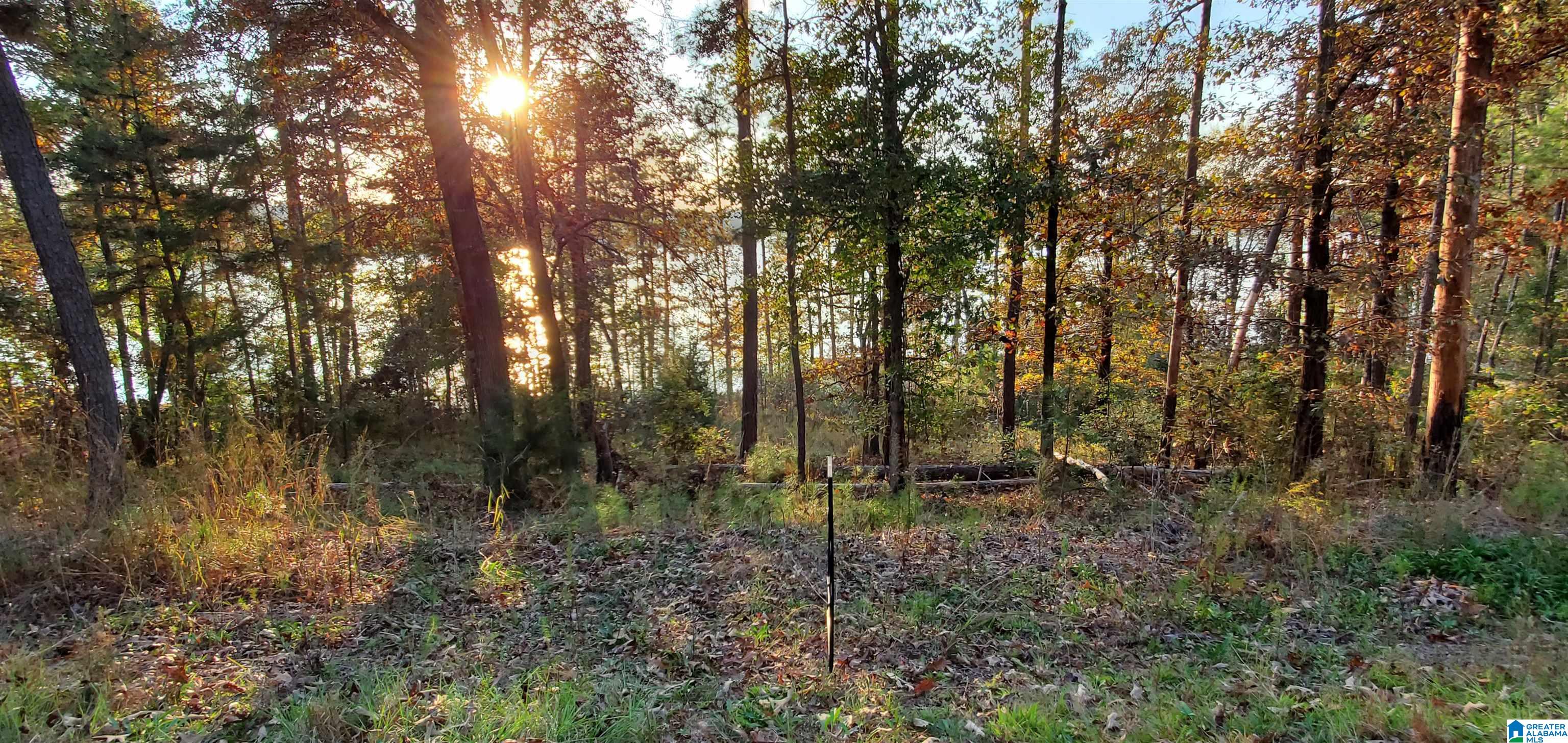 Daybreak Curve #1, ROCKFORD, Alabama image 8