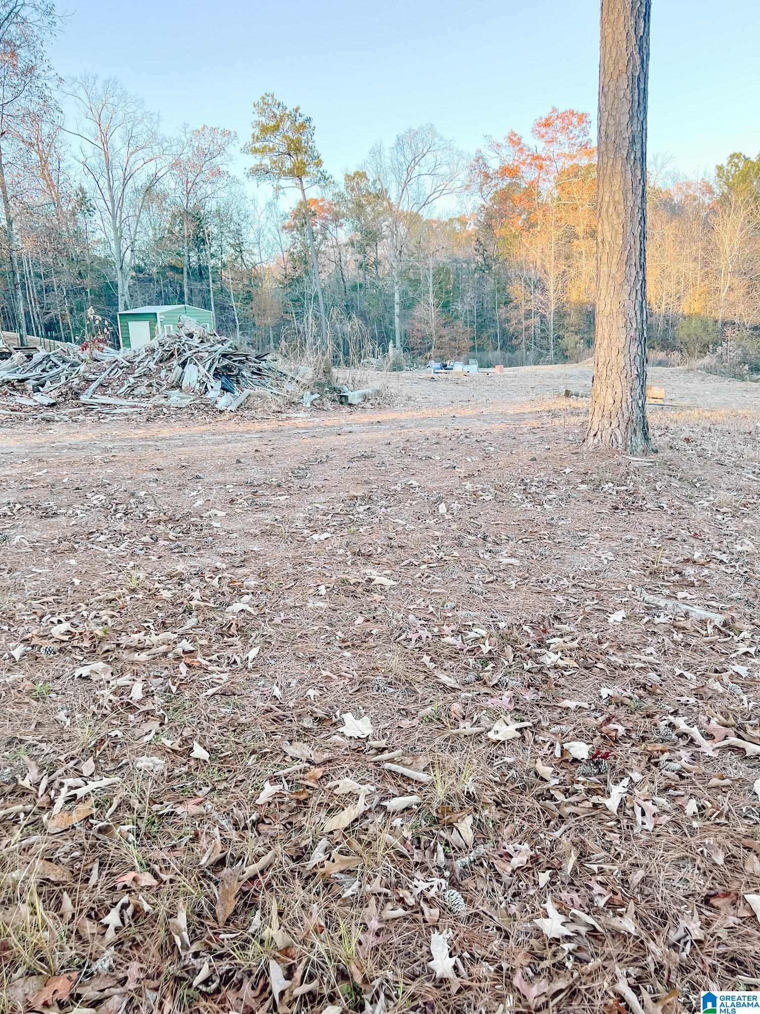 Homes for sale in Odenville, AL | 0 Dogwood Dr, Odenville, AL 35120 | MLS# 1339933