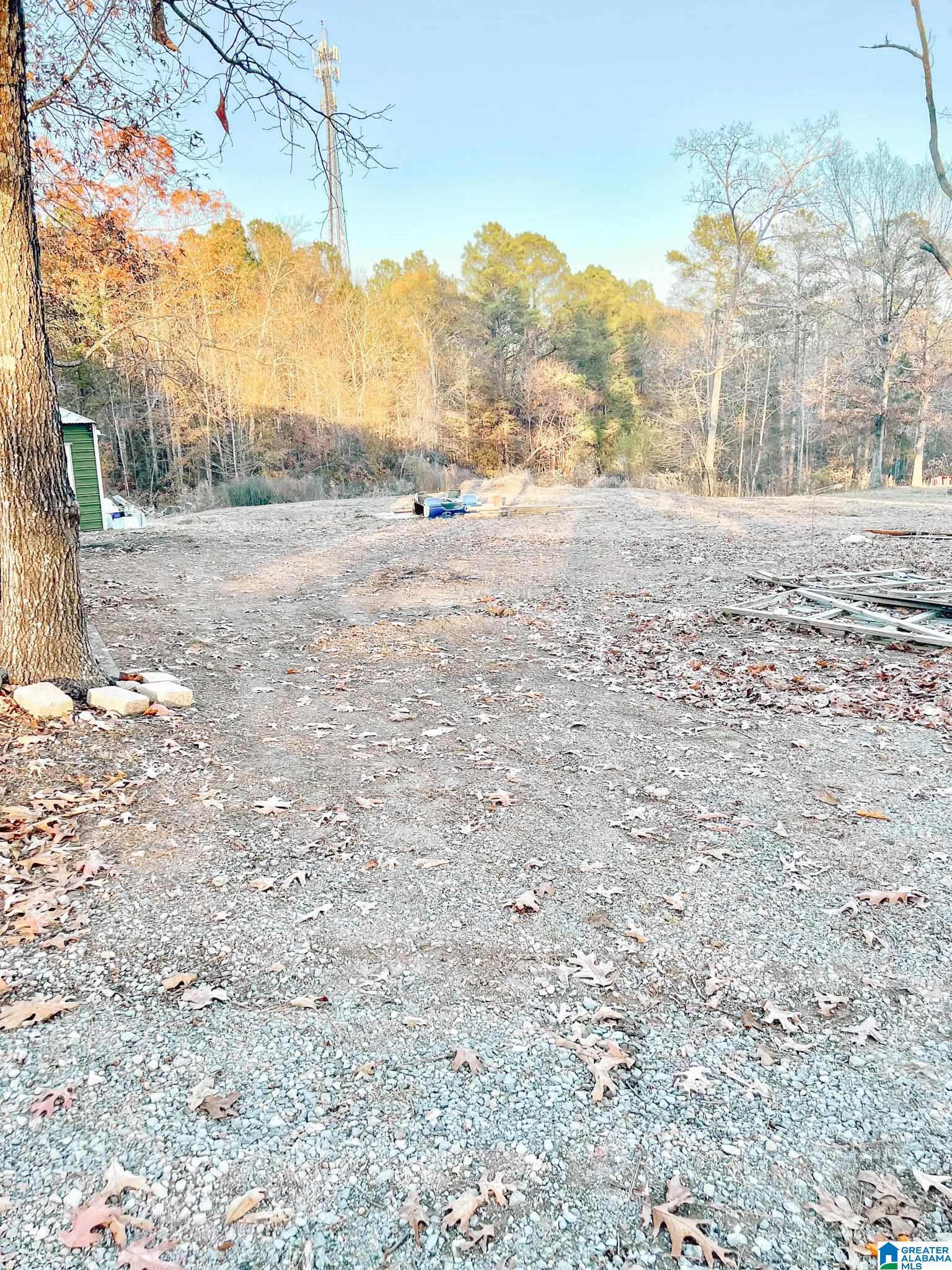 Homes for sale in Odenville, AL | 0 Dogwood Dr, Odenville, AL 35120 | MLS# 1339933