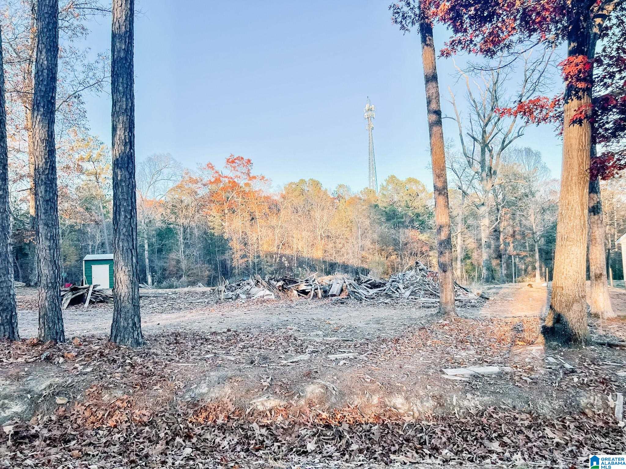 Homes for sale in Odenville, AL | 0 Dogwood Dr, Odenville, AL 35120 | MLS# 1339933